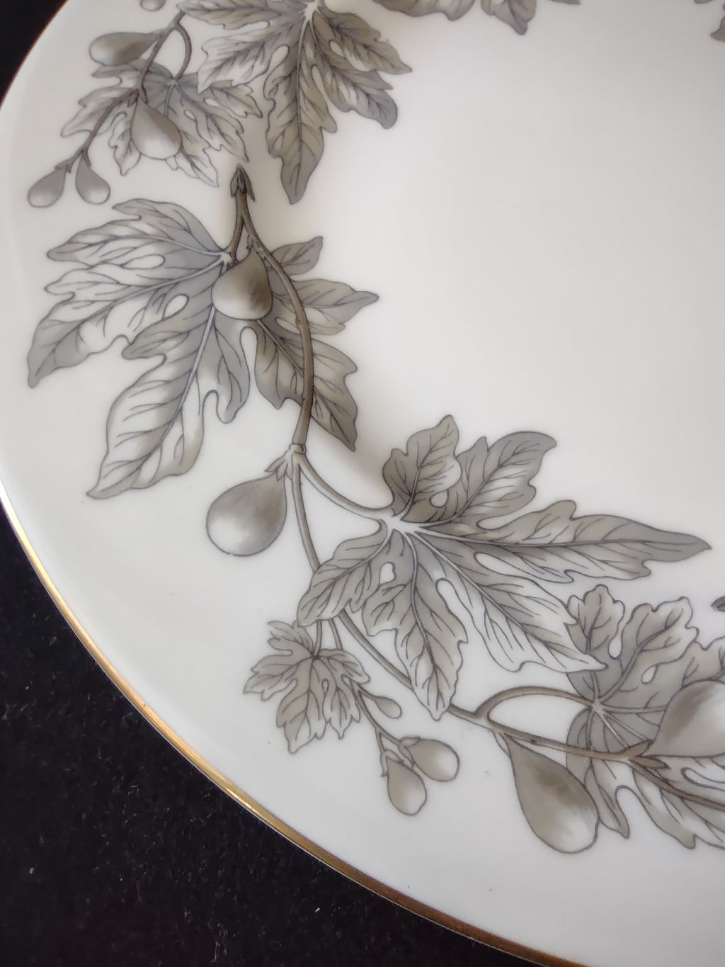 Vintage Wedgwood Ashford Bone China Dinner Plates England Pair [6179]