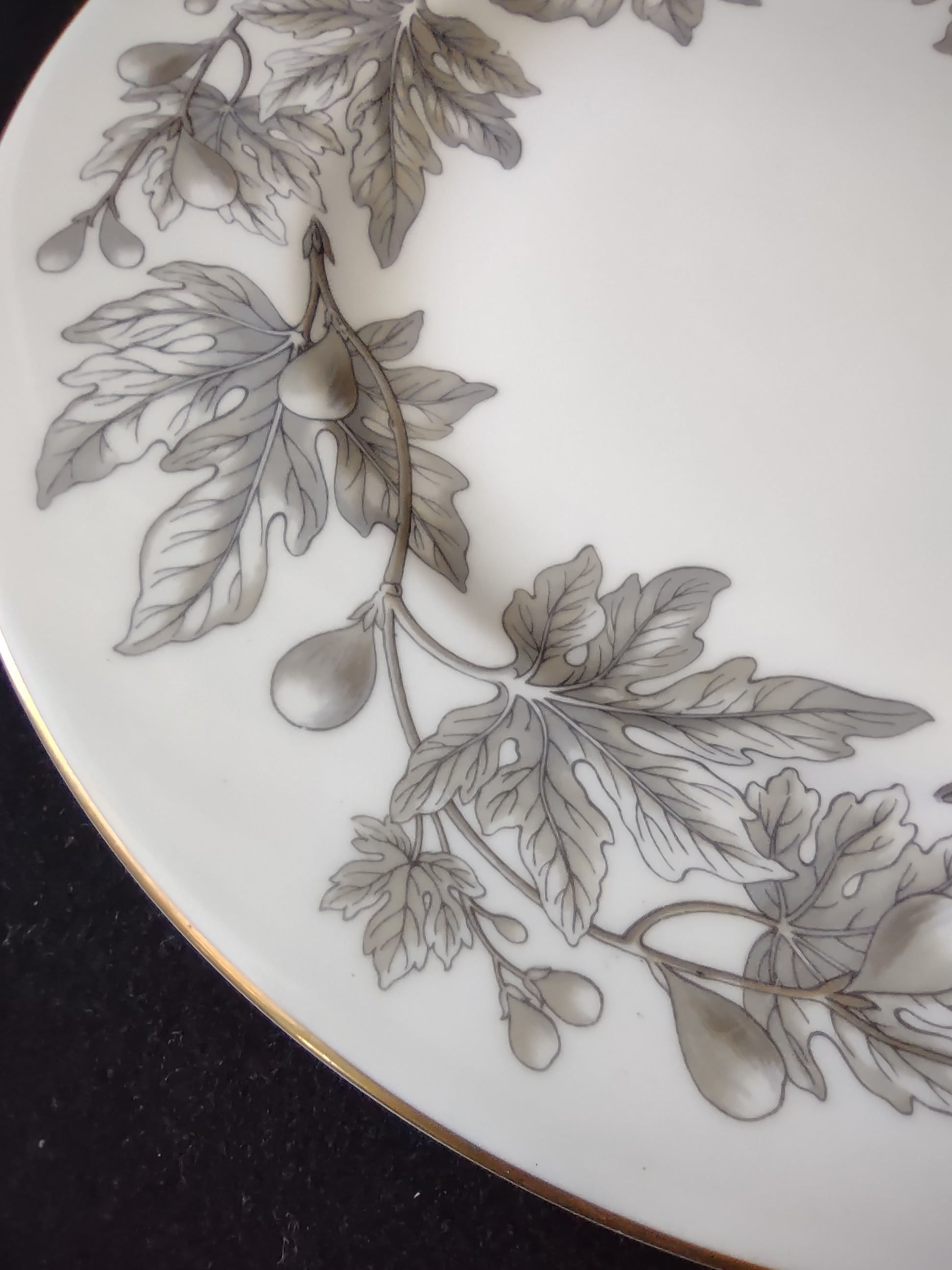 Vintage Wedgwood Ashford Bone China Dinner Plates England Pair [6179]