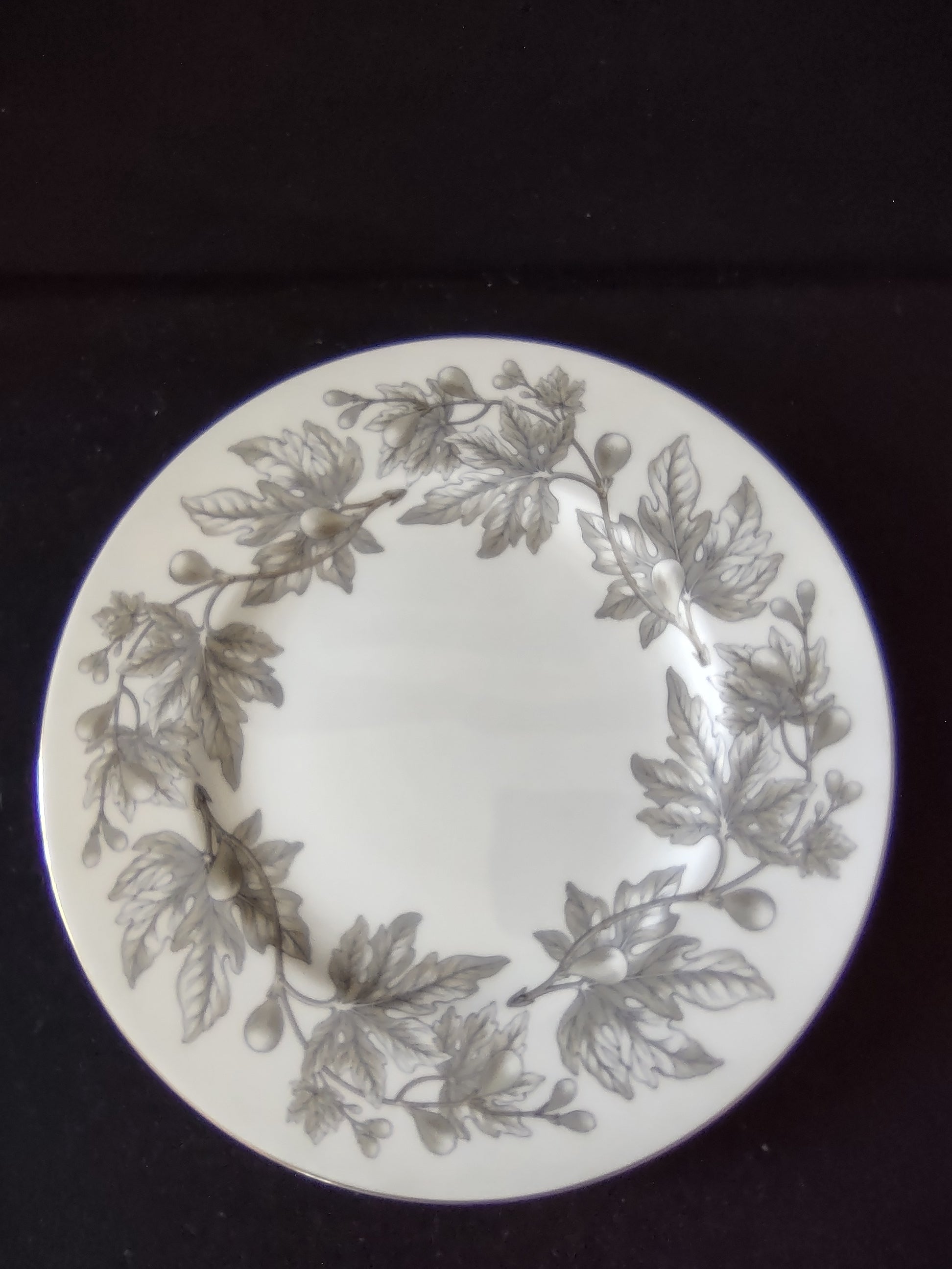 Vintage Wedgwood Ashford Bone China Dinner Plates England Pair [6179]
