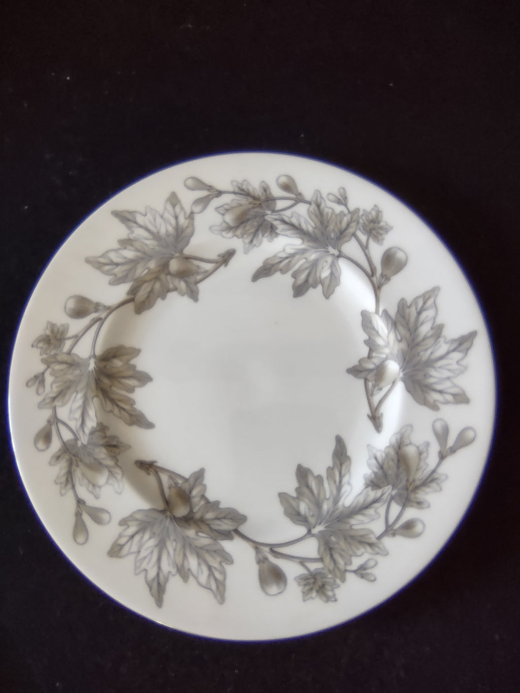 Vintage Wedgwood Ashford Bone China Salad Plates England Set of 3 [6180]