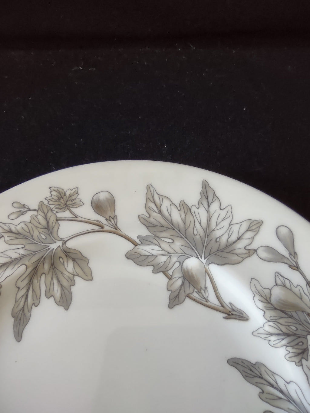 Vintage Wedgwood Ashford Bone China Salad Plates England Set of 3 [6180]