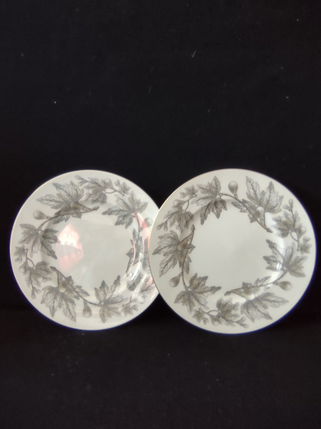 Vintage Wedgwood Ashford Bone China 9" Lunch Plates Set of 2 England [6181]