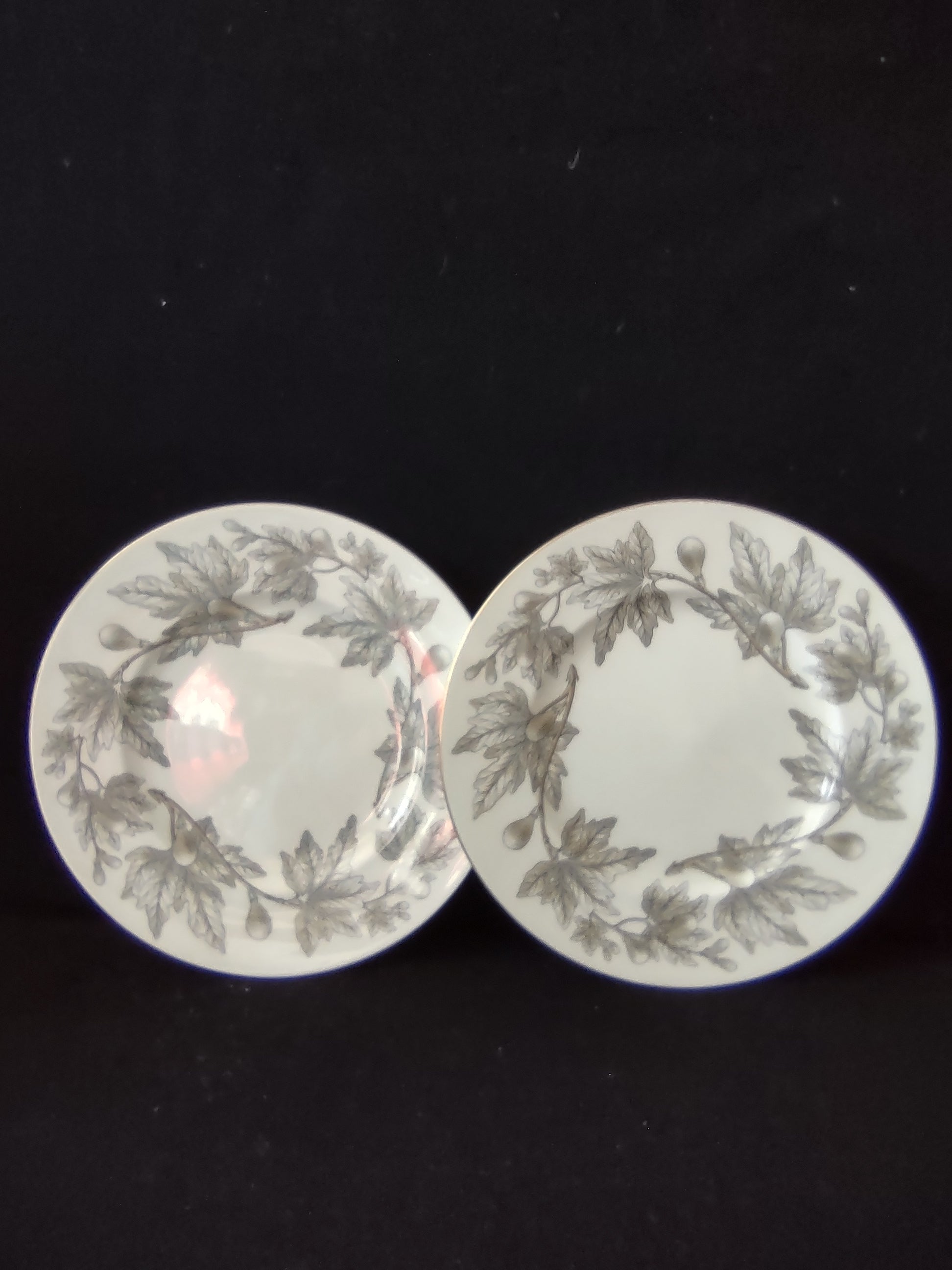 Vintage Wedgwood Ashford Bone China 9" Lunch Plates Set of 2 England [6181]