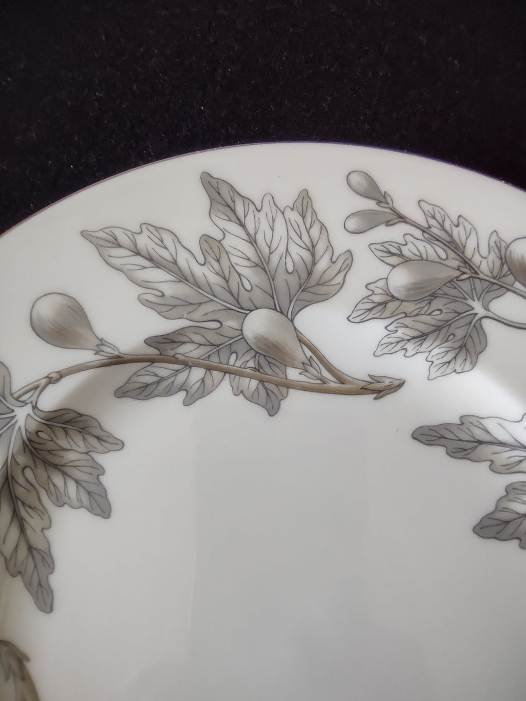 Vintage Wedgwood Ashford Bone China 9" Lunch Plates Set of 2 England [6181]