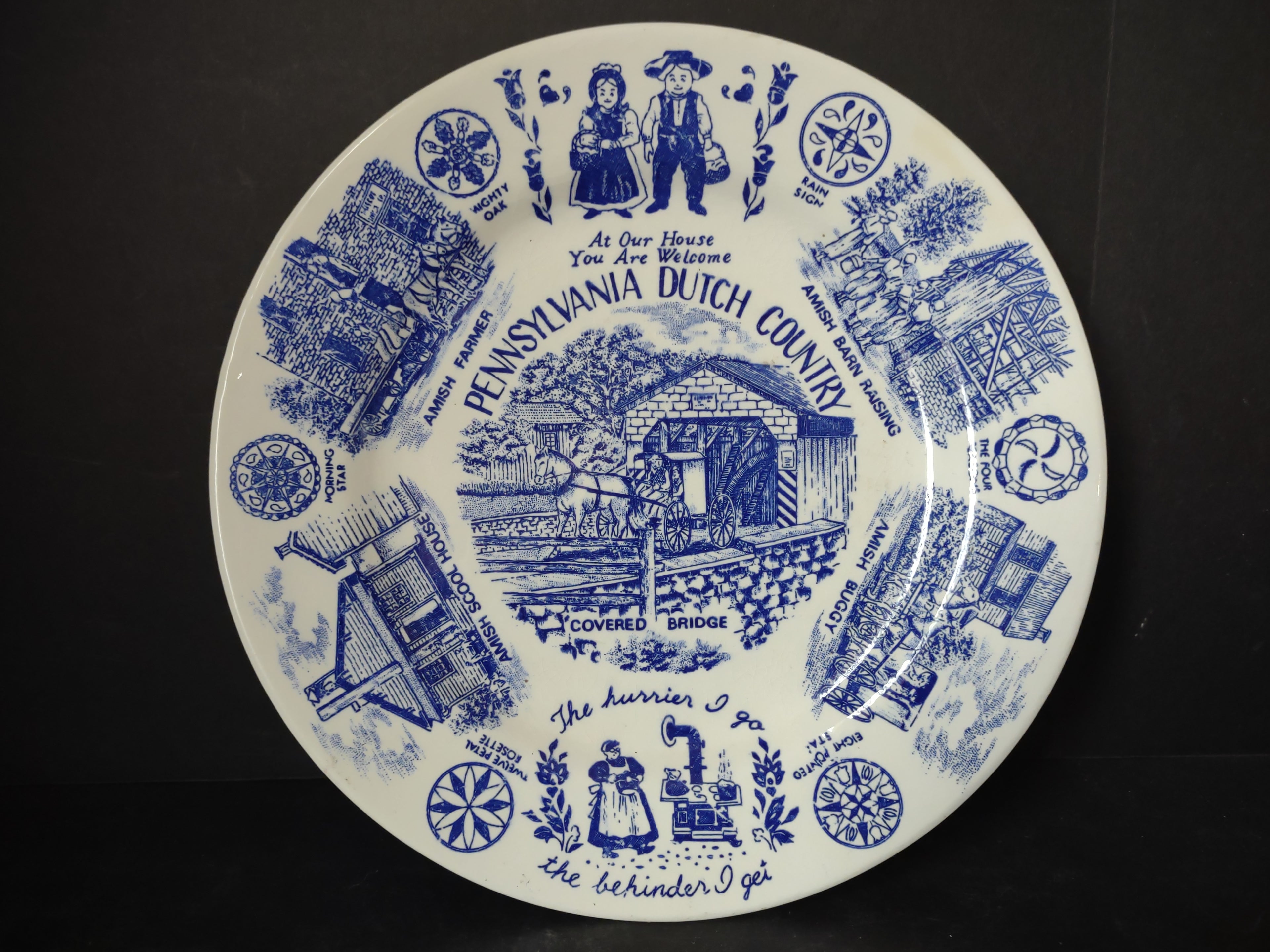 Vintage Pennsylvania Dutch Country Blue White Transferware Plate Crazing [6216]