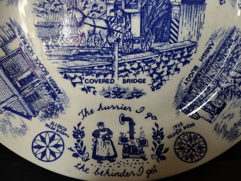 Vintage Pennsylvania Dutch Country Blue White Transferware Plate Crazing [6216]