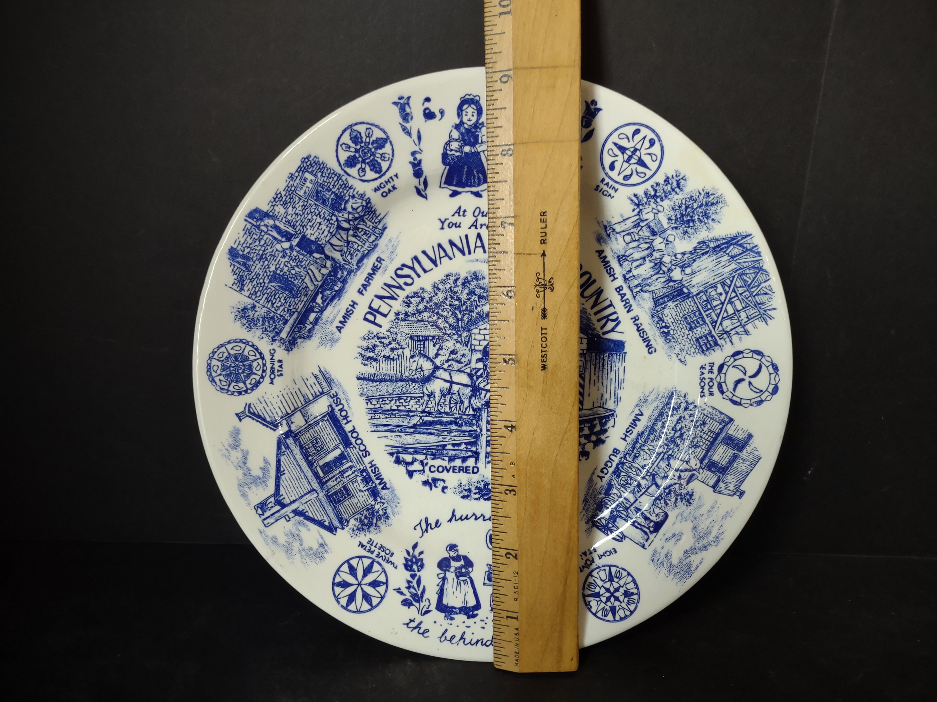 Vintage Pennsylvania Dutch Country Blue White Transferware Plate Crazing [6216]