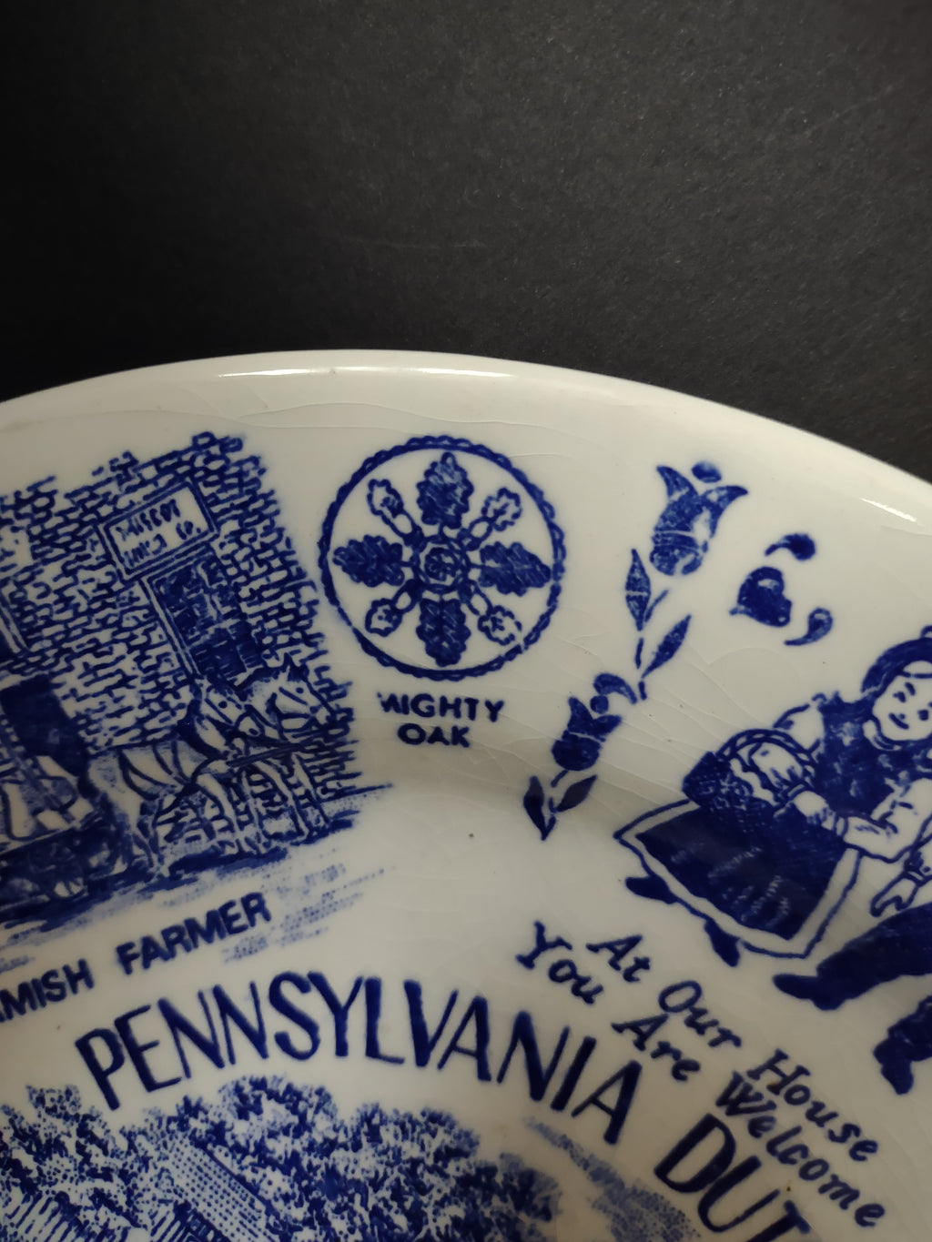 Vintage Pennsylvania Dutch Country Blue White Transferware Plate Crazing [6216]
