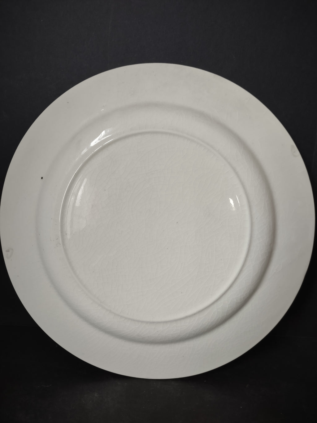 Vintage Pennsylvania Dutch Country Blue White Transferware Plate Crazing [6216]