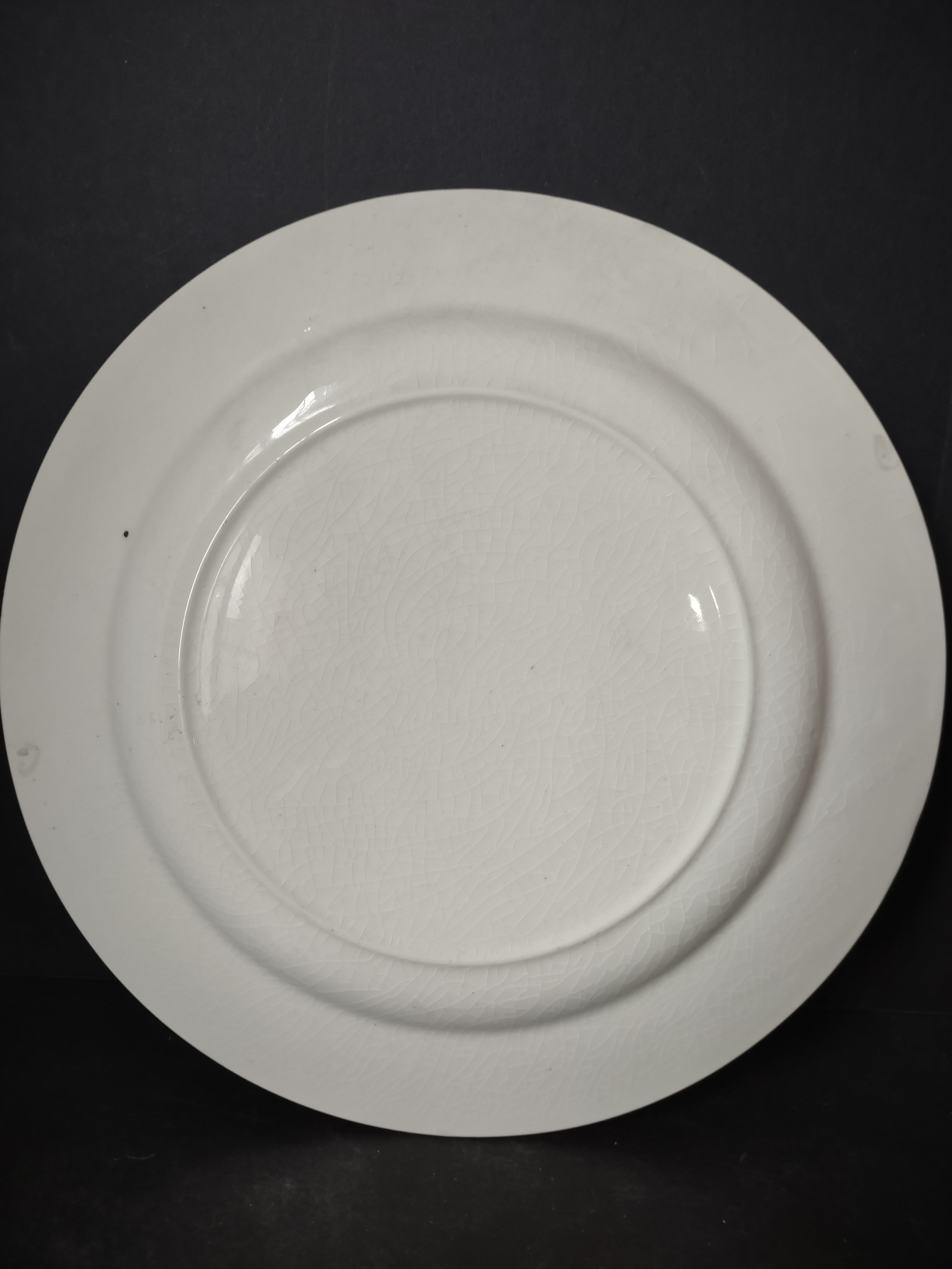 Vintage Pennsylvania Dutch Country Blue White Transferware Plate Crazing [6216]