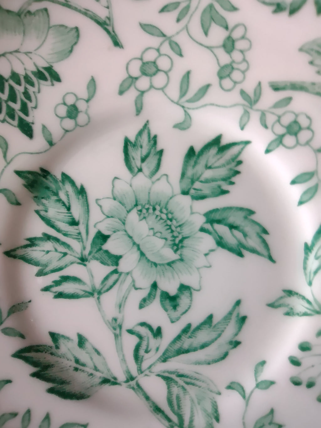Vintage Wedgwood Saucer Bone China Green Transferware Floral England [6227]