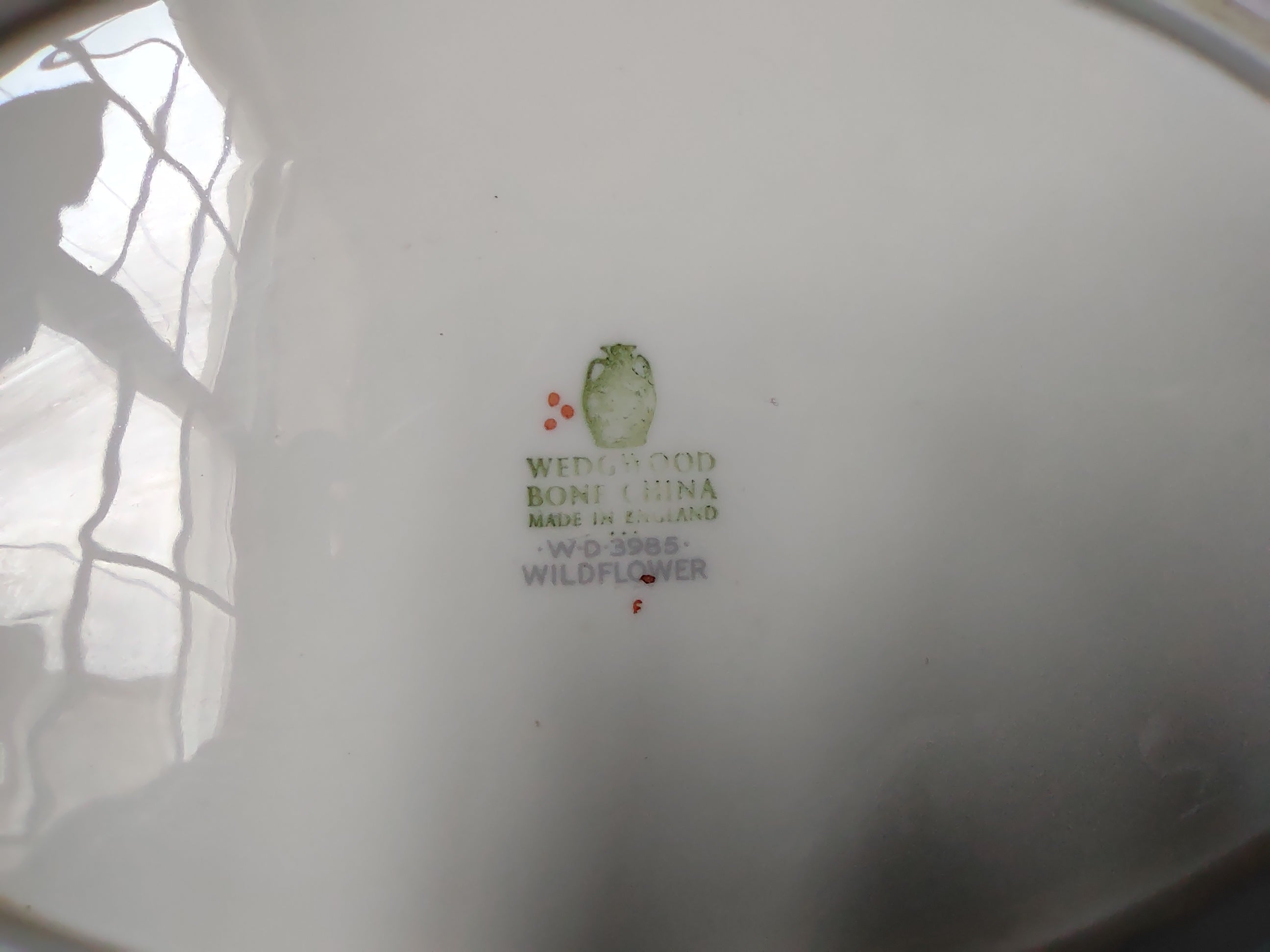 Vintage Wedgwood Oval Serving Platter Floral Botanical Gold Trim 13" [6237]