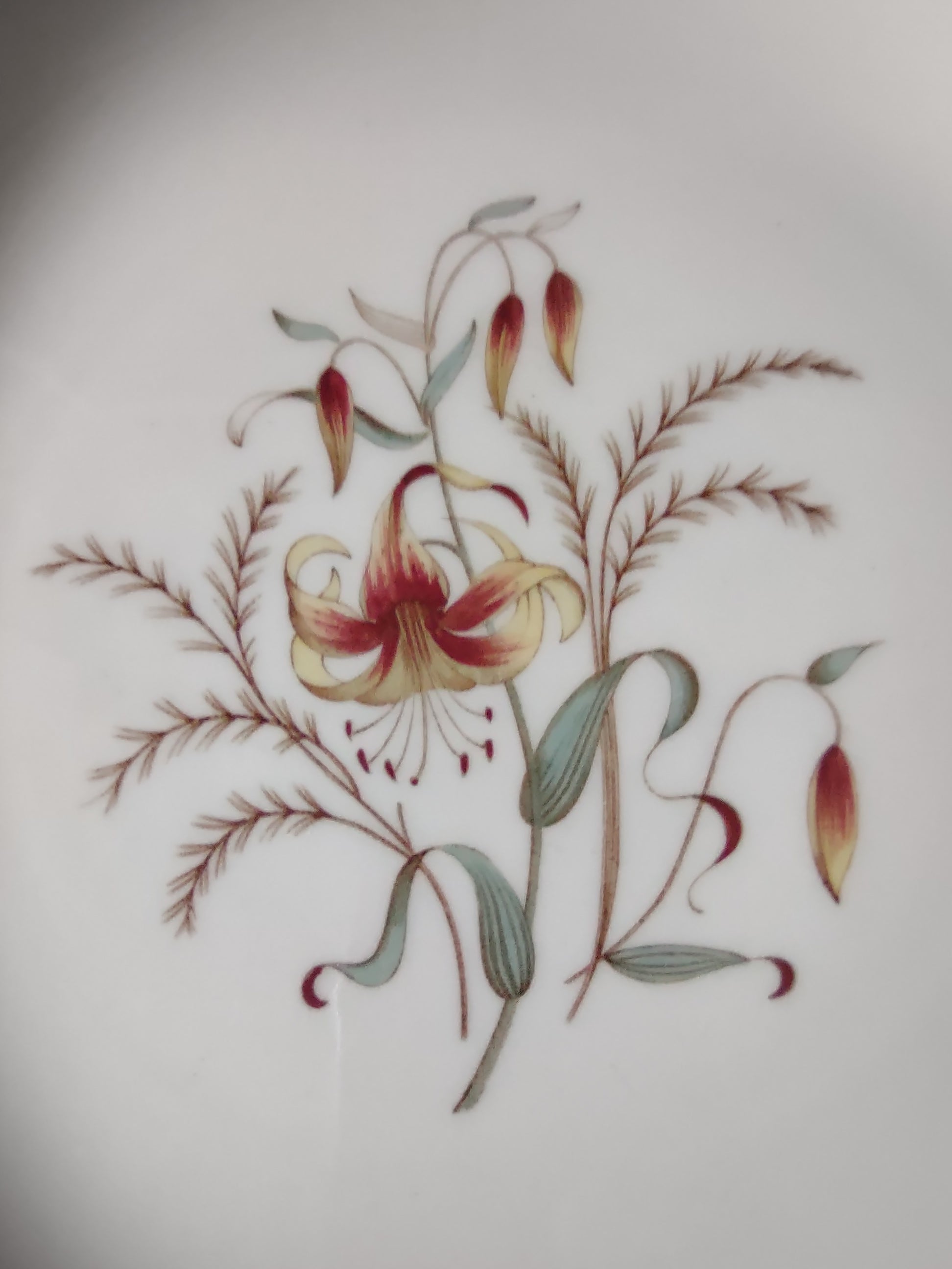 Vintage Wedgwood Tiger Lily Dinner Plate Mint Green Rim England [6240]
