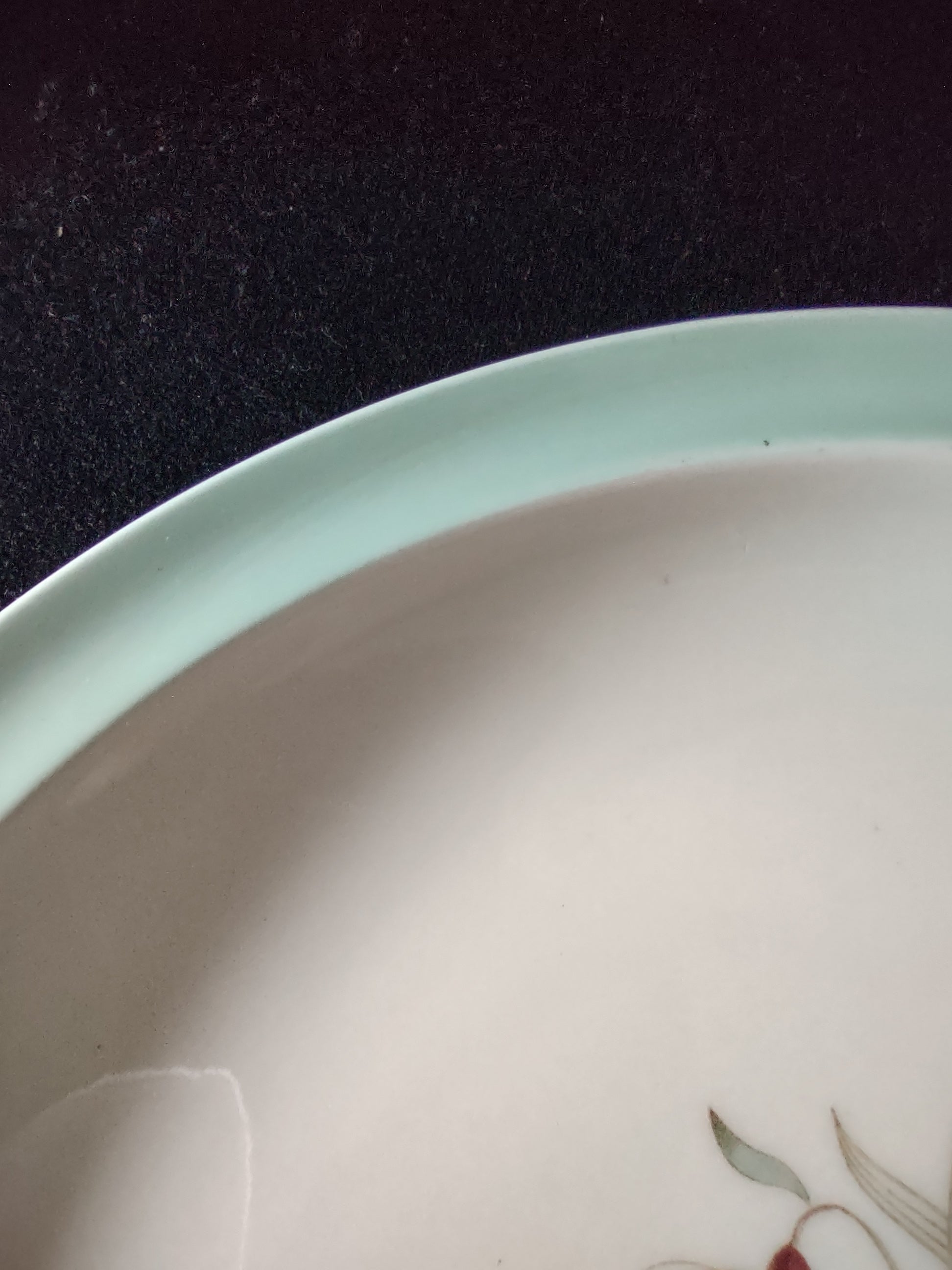 Vintage Wedgwood Tiger Lily Dinner Plate Mint Green Rim England [6240]