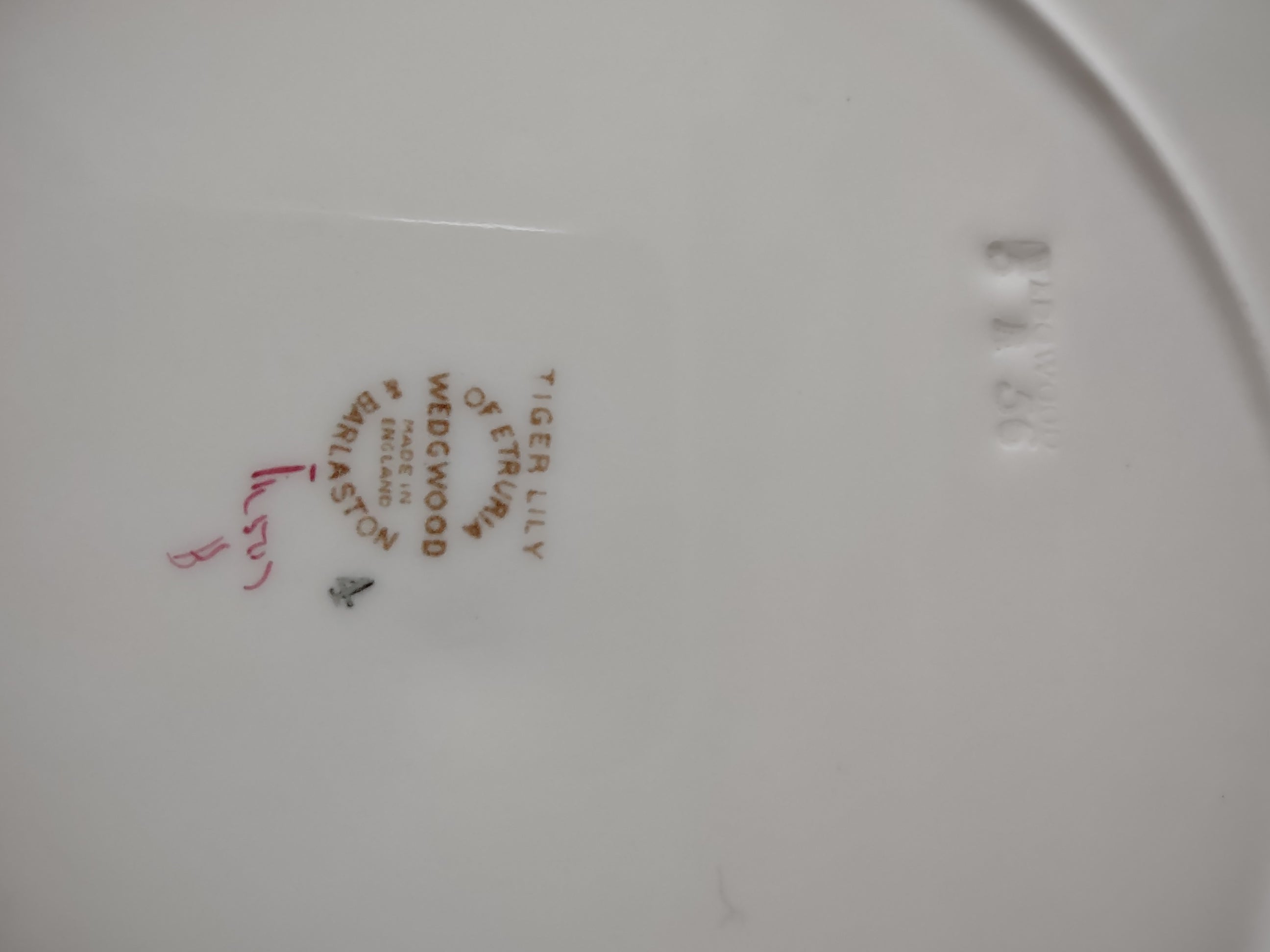 Vintage Wedgwood Tiger Lily Dinner Plate Mint Green Rim England [6240]
