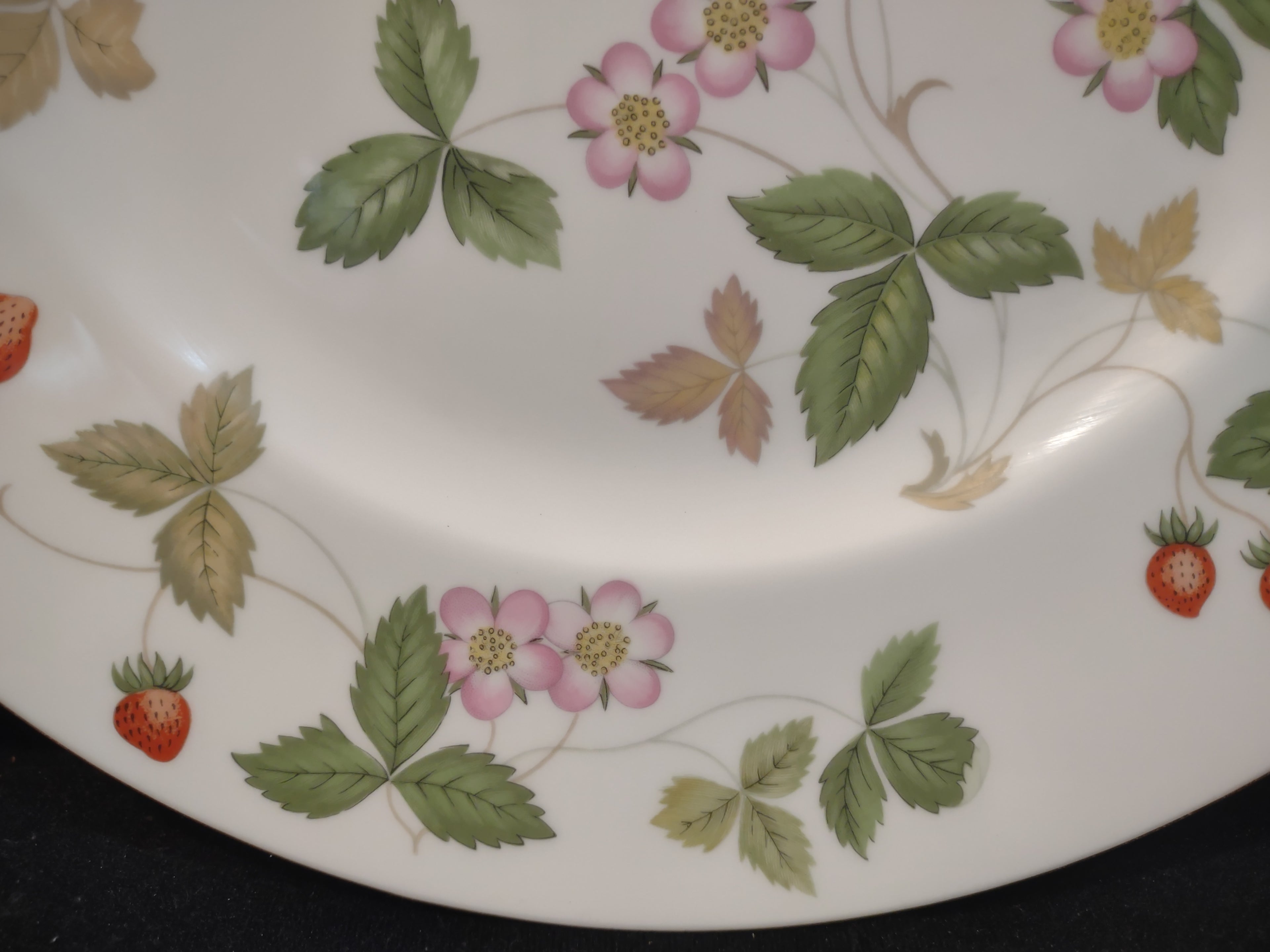 Vintage Wedgwood Wild Strawberry Bone China Dinner Plate England [6242]