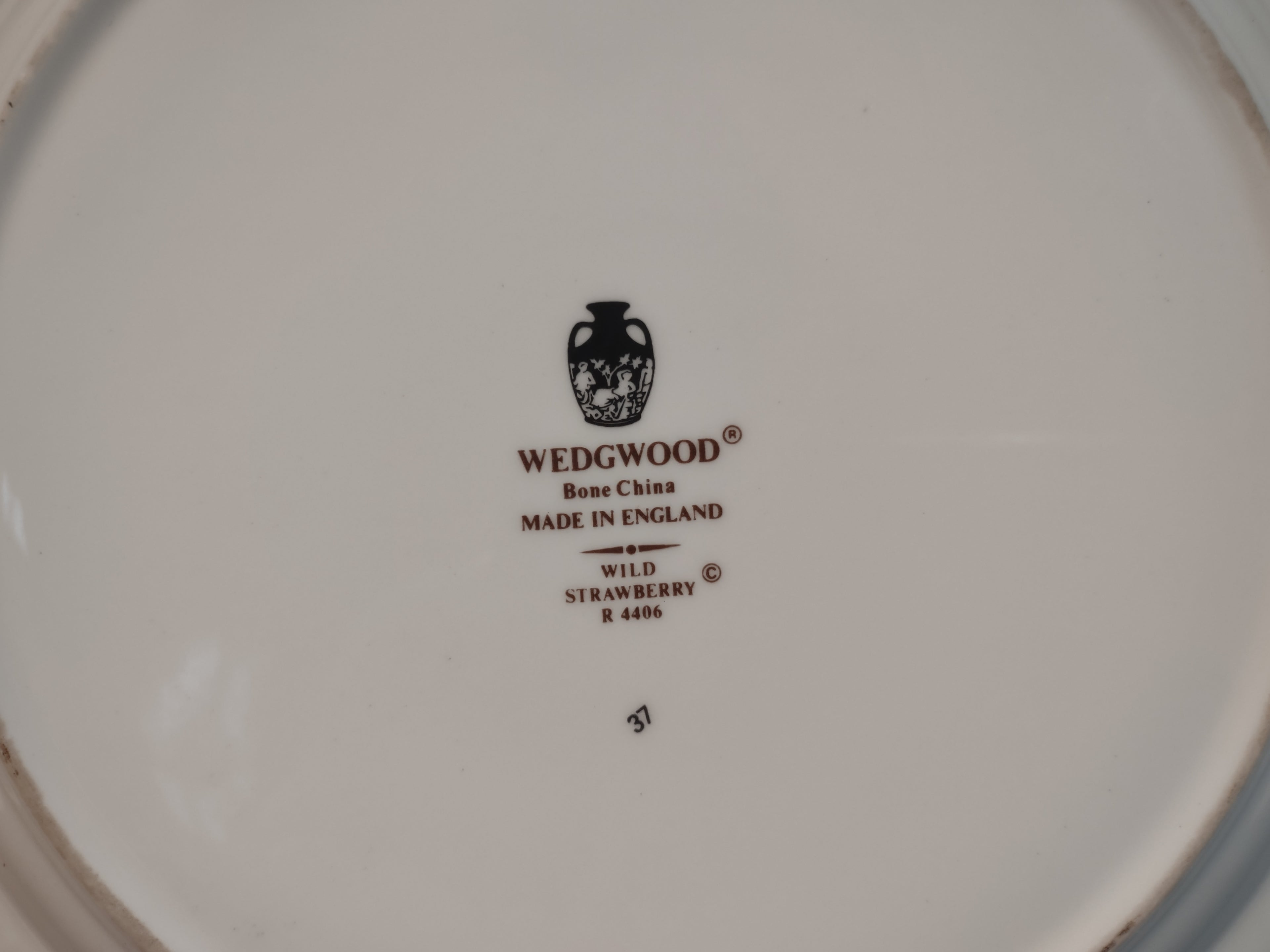 Vintage Wedgwood Wild Strawberry Bone China Dinner Plate England [6242]