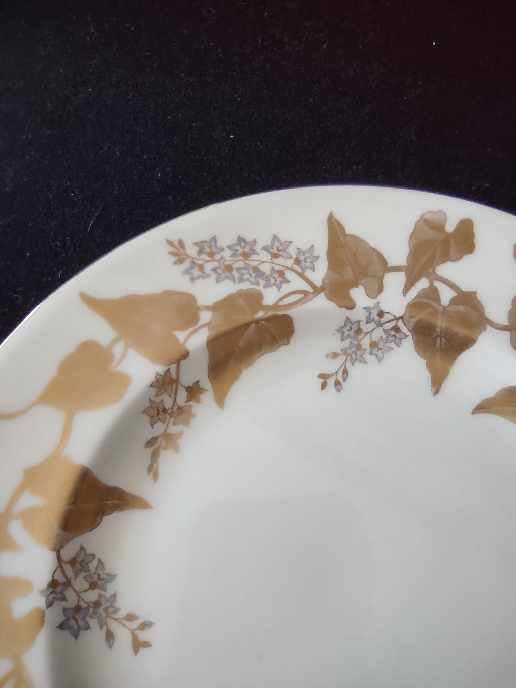 Vintage Wedgwood Buxton Gold Salad Plate Bone China England 8" [6256]