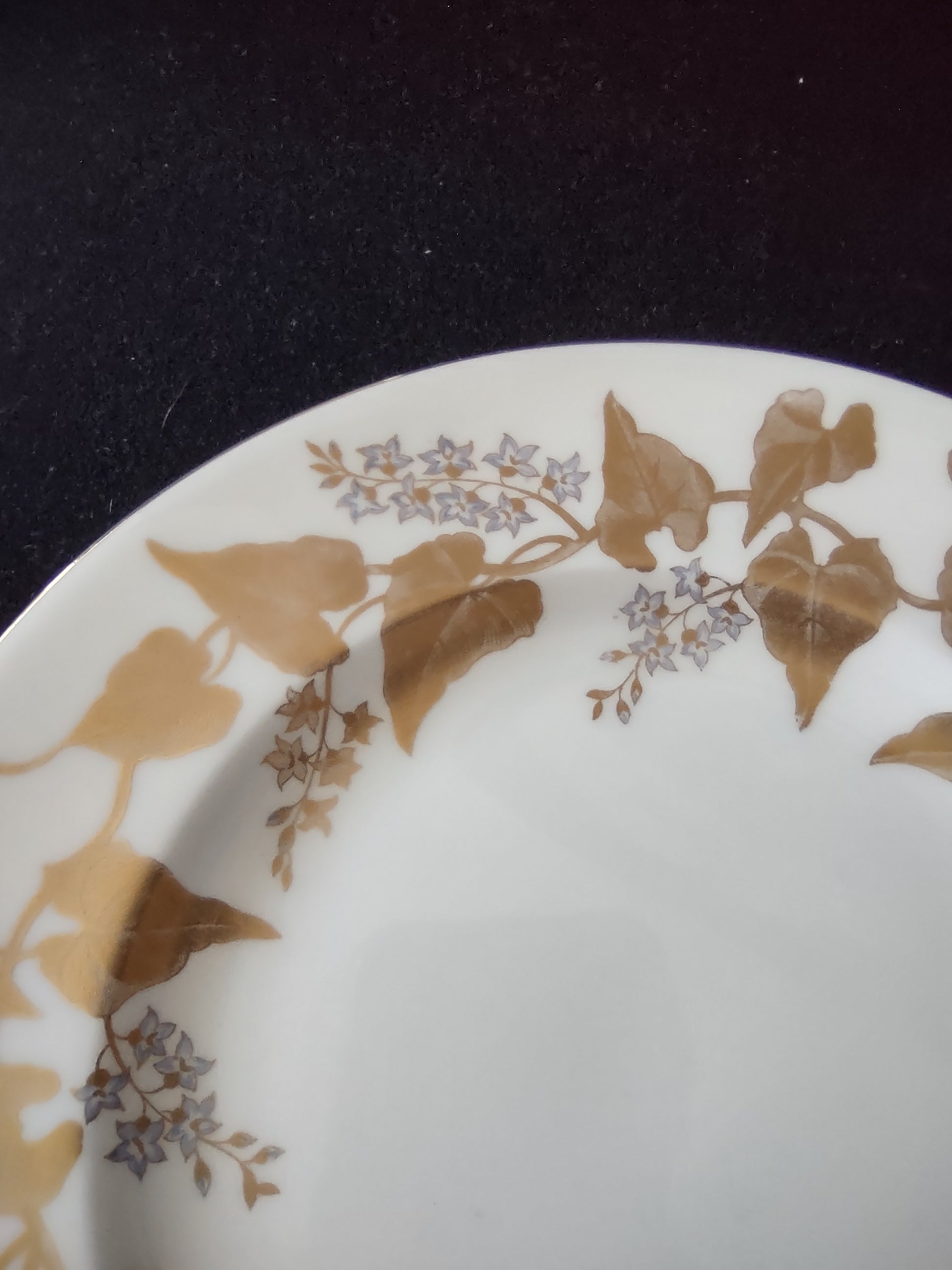 Vintage Wedgwood Buxton Gold Salad Plate Bone China England 8" [6256]