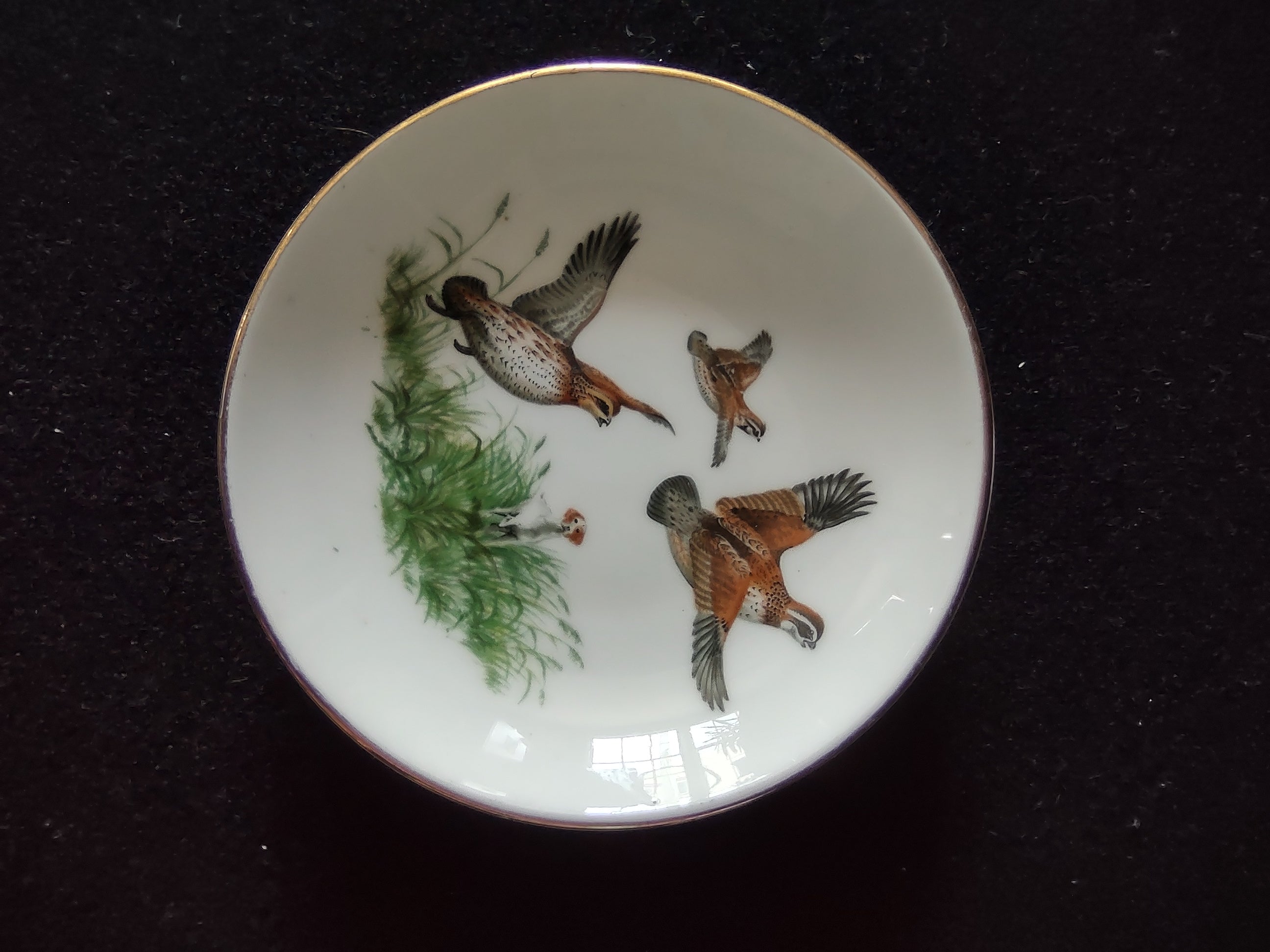Vintage Staffordshire Pheasant Hunting Butter Pat Bone China England [6262]