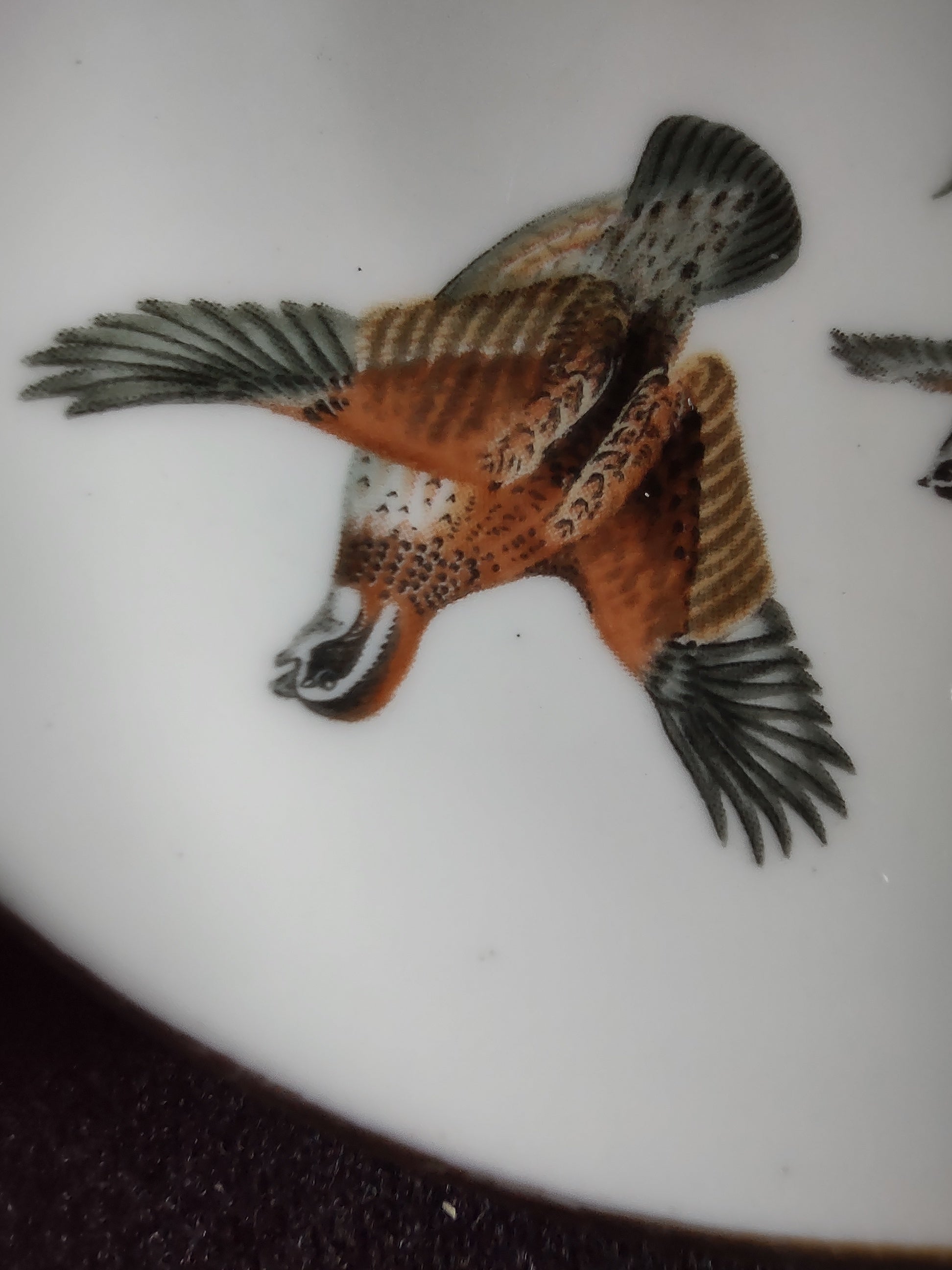 Vintage Staffordshire Pheasant Hunting Butter Pat Bone China England [6262]