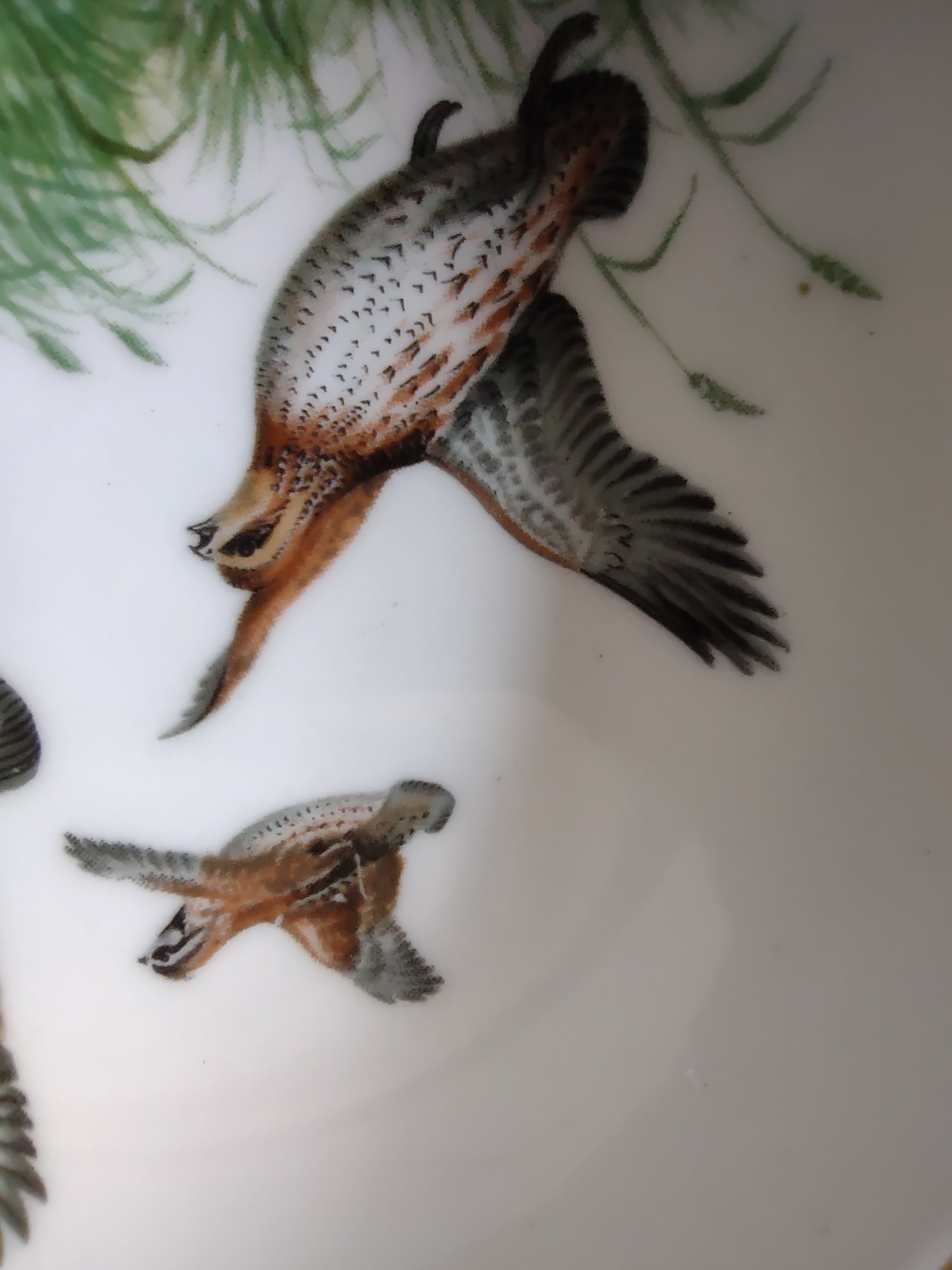 Vintage Staffordshire Pheasant Hunting Butter Pat Bone China England [6262]