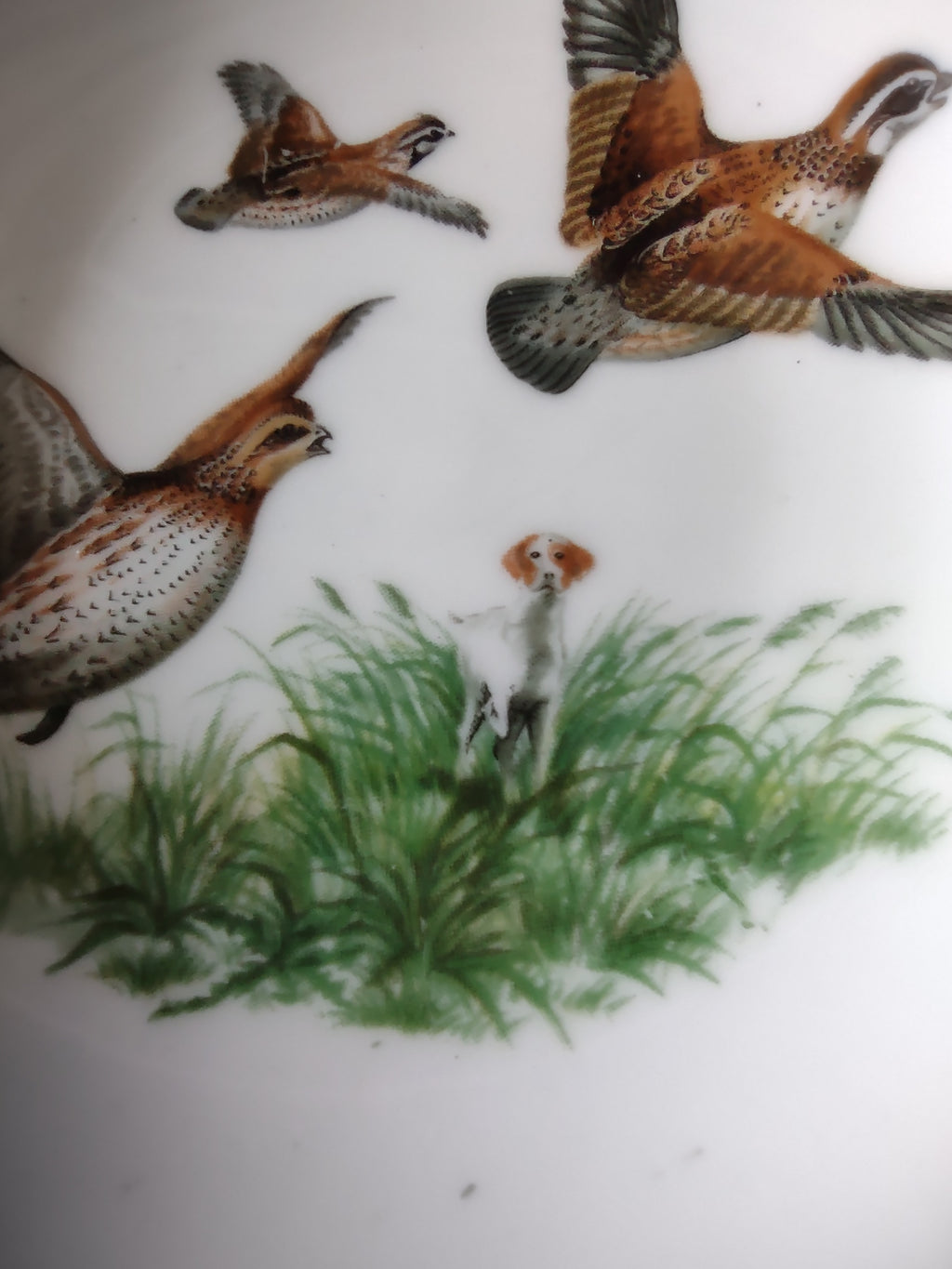 Vintage Staffordshire Pheasant Hunting Butter Pat Bone China England [6262]