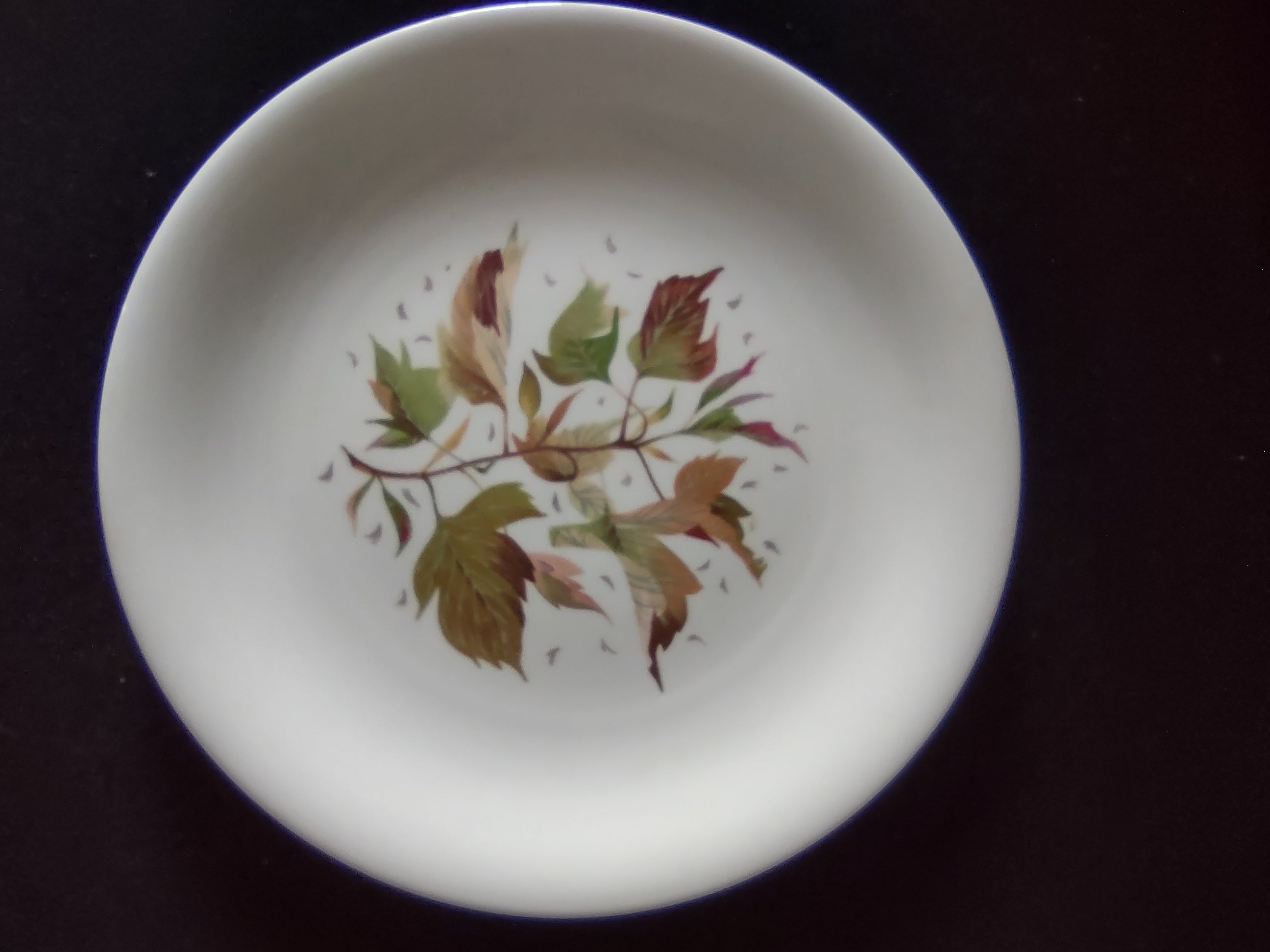 Vintage Wedgwood Wakefield 10" Dinner Plate Bone China England [6264]
