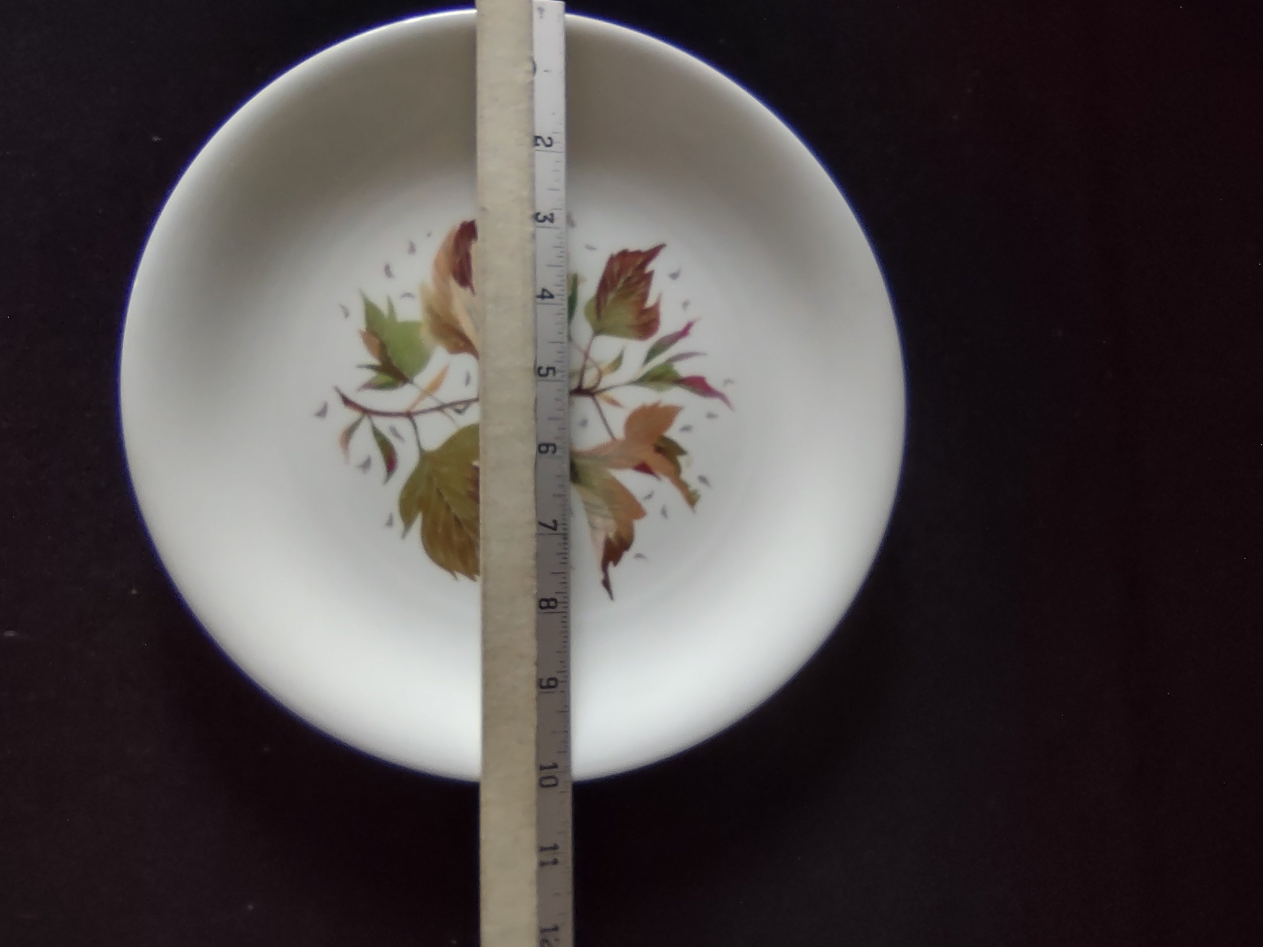 Vintage Wedgwood Wakefield 10" Dinner Plate Bone China England [6264]