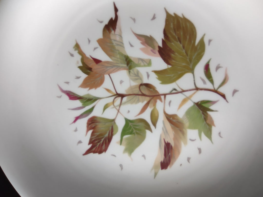 Vintage Wedgwood Wakefield 10" Dinner Plate Bone China England [6264]