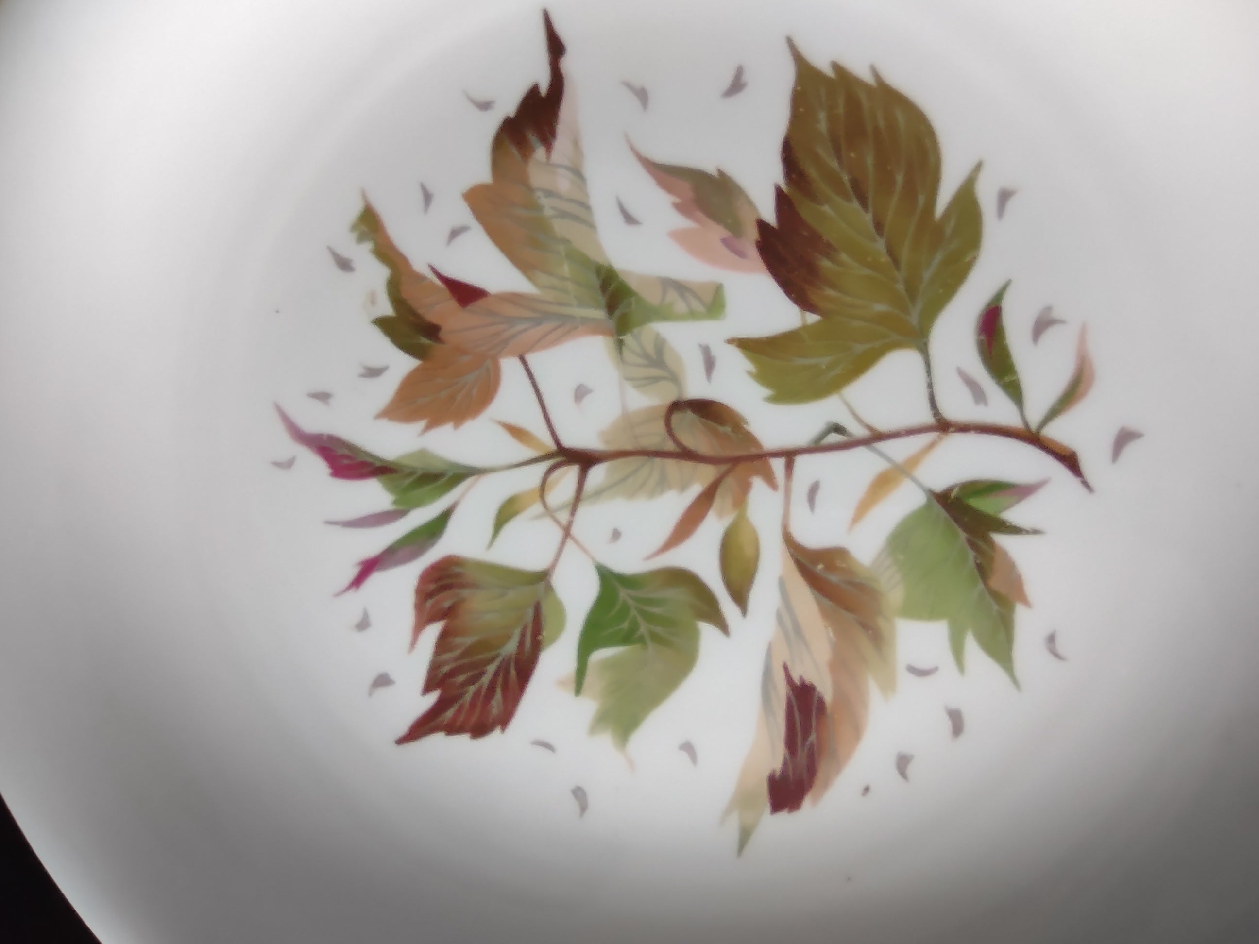 Vintage Wedgwood Wakefield 10" Dinner Plate Bone China England [6264]