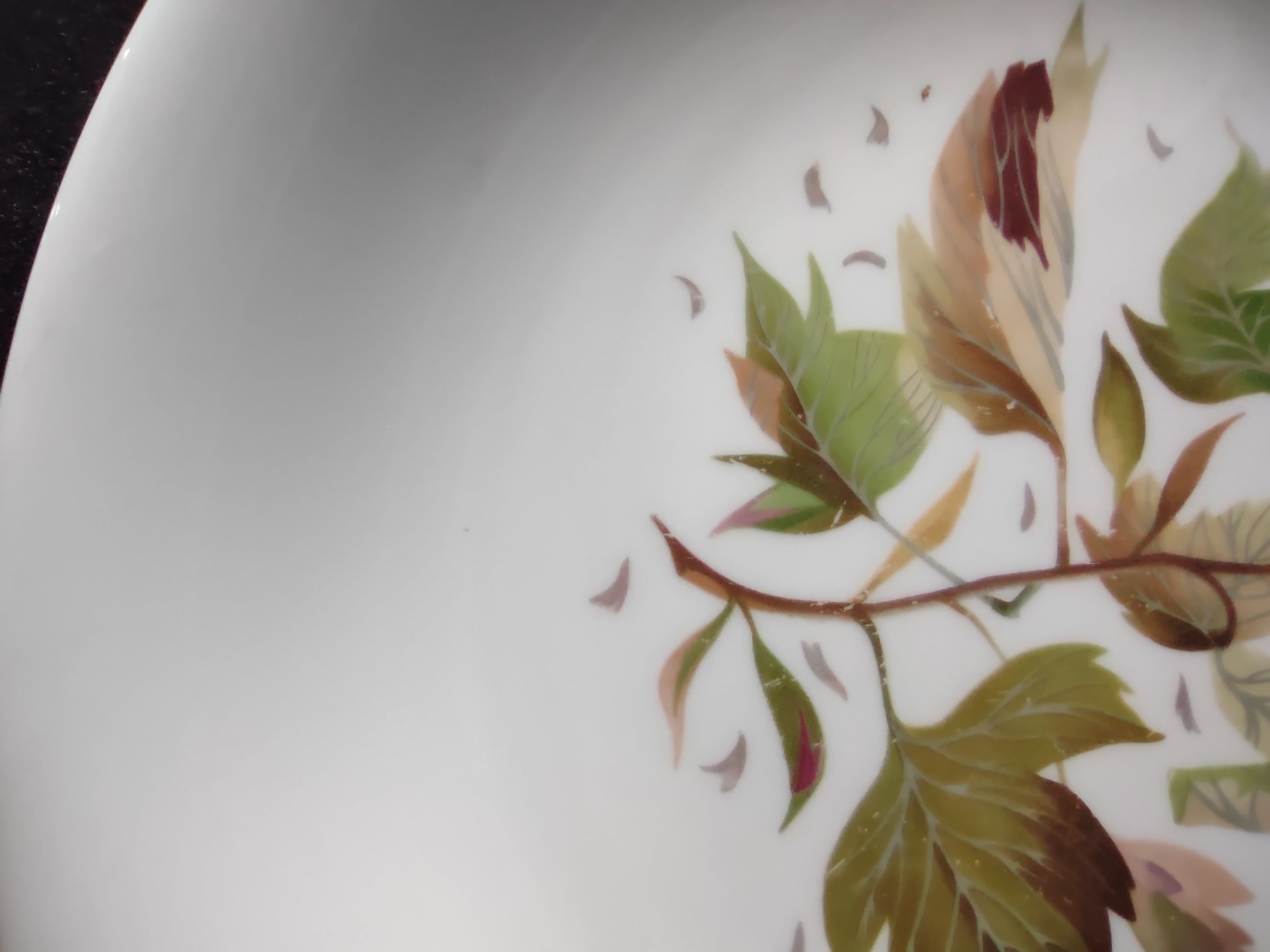 Vintage Wedgwood Wakefield 10" Dinner Plate Bone China England [6264]