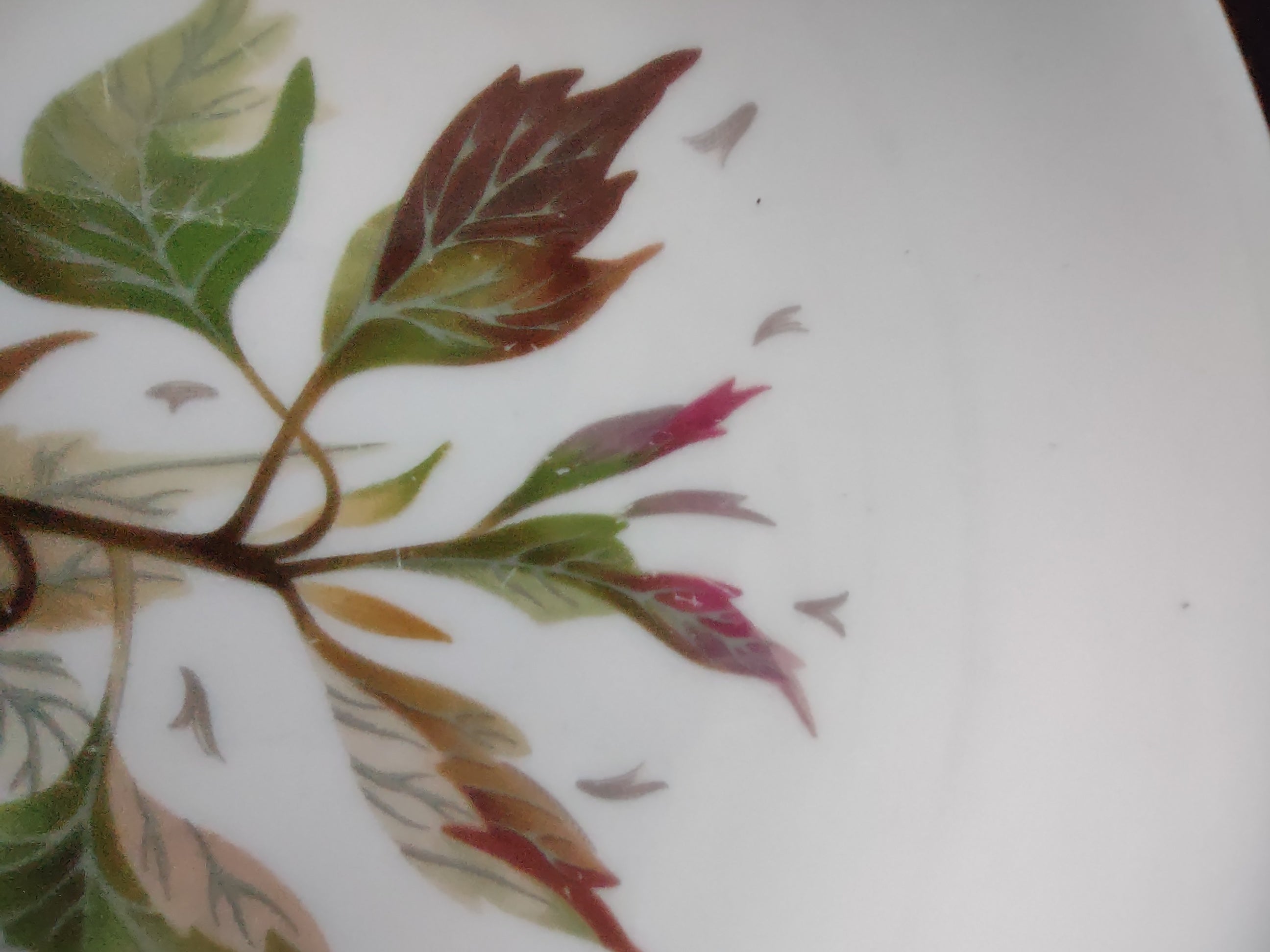 Vintage Wedgwood Wakefield Salad Plate Bone China England Pair [6265]