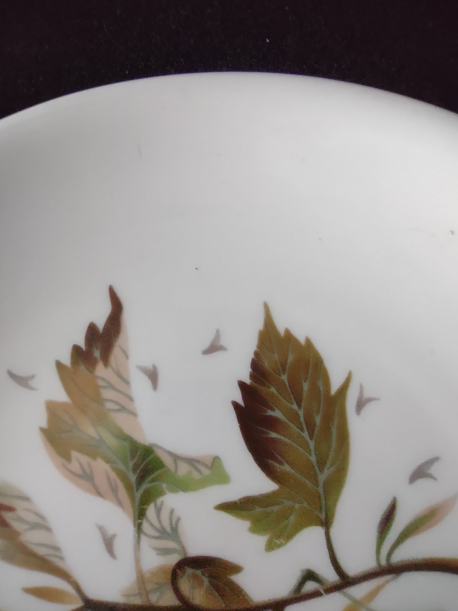 Vintage Wedgwood Wakefield Salad Plate Bone China England Pair [6265]