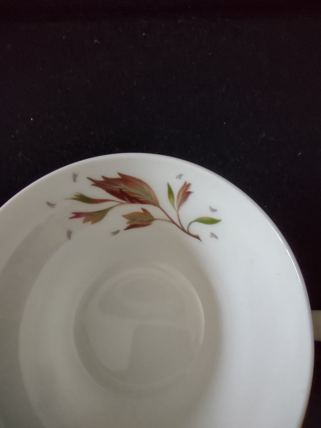 Vintage Wedgwood Wakefield Cup and Saucer Set Bone China England [6266]