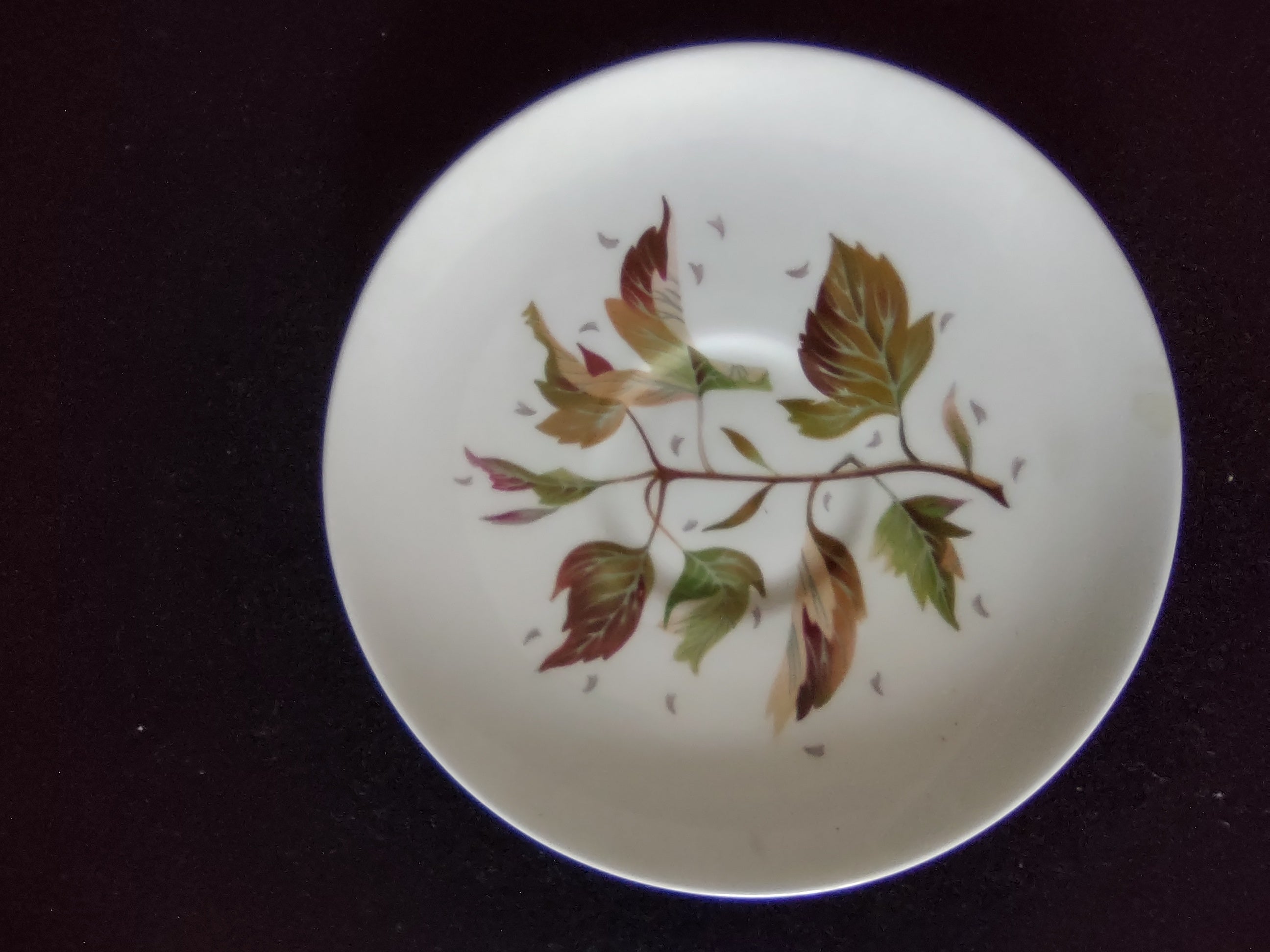 Vintage Wedgwood Wakefield Saucer Bone China England 6in [6267]
