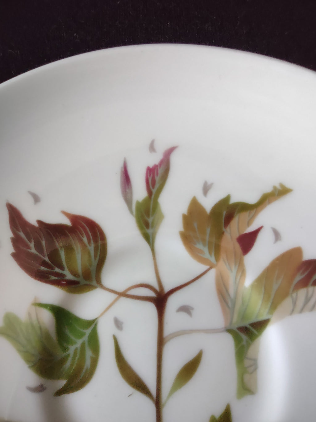Vintage Wedgwood Wakefield Saucer Bone China England 6in [6267]