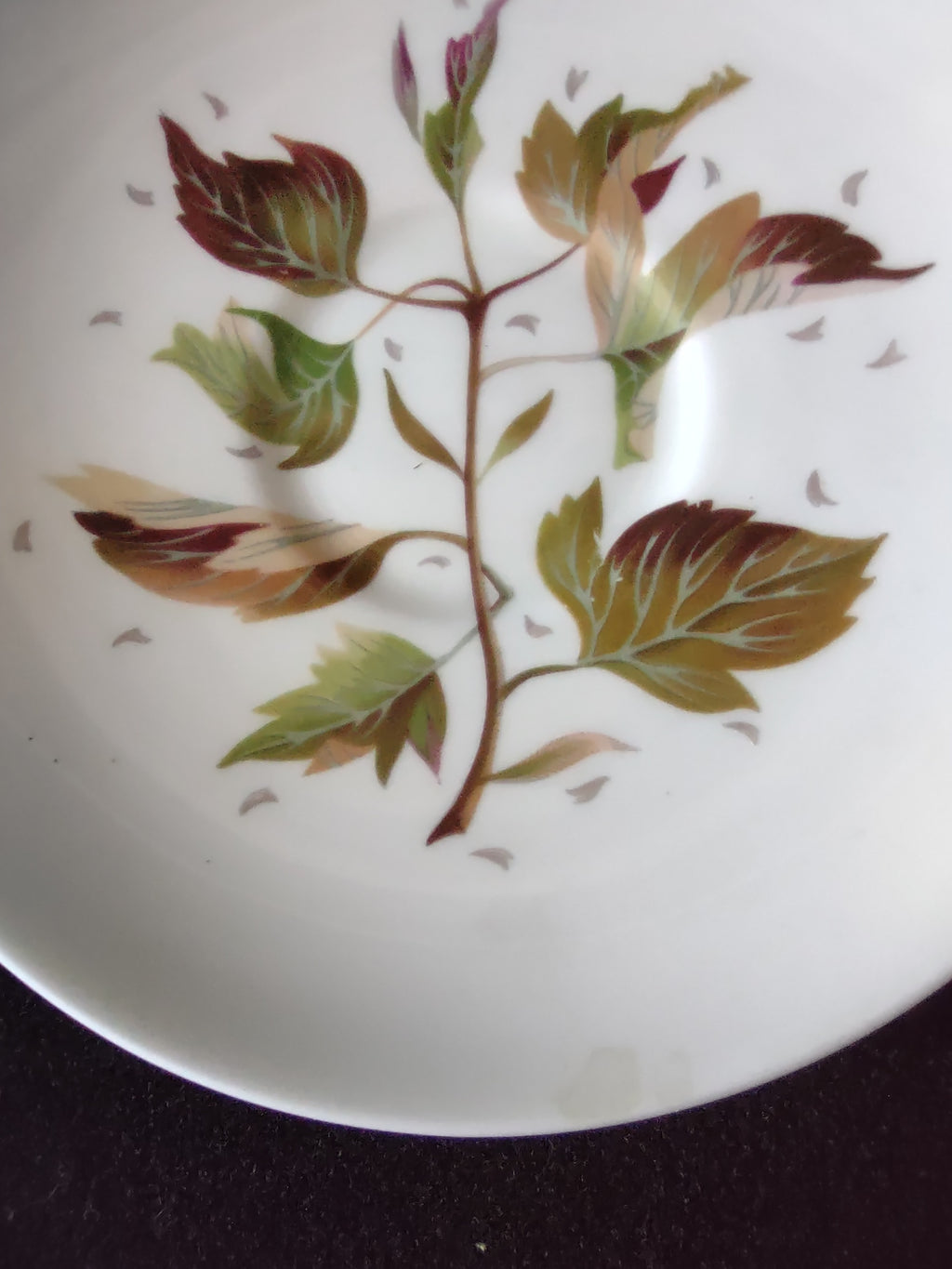 Vintage Wedgwood Wakefield Saucer Bone China England 6in [6267]