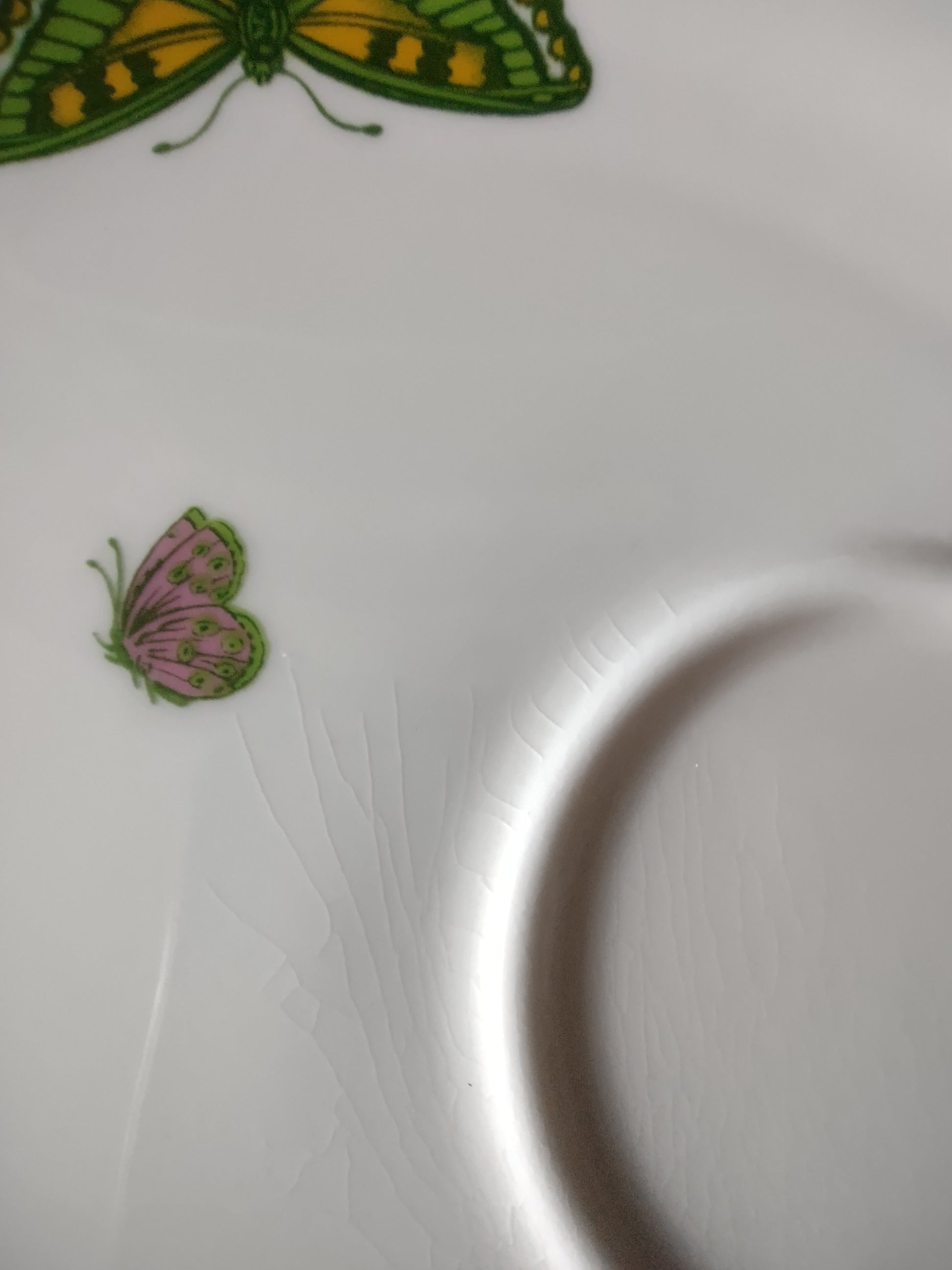 Vintage Staffordshire Butterfly Snack Plate No Cup Bone China England [6270]