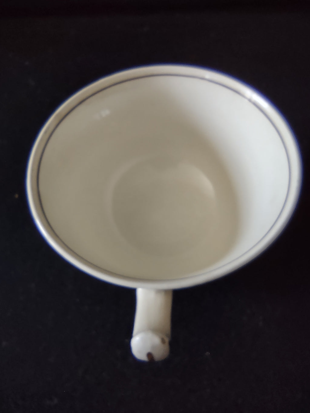 Vintage Wedgwood Directoire Teacup Bone China England Fruit Basket [6273]