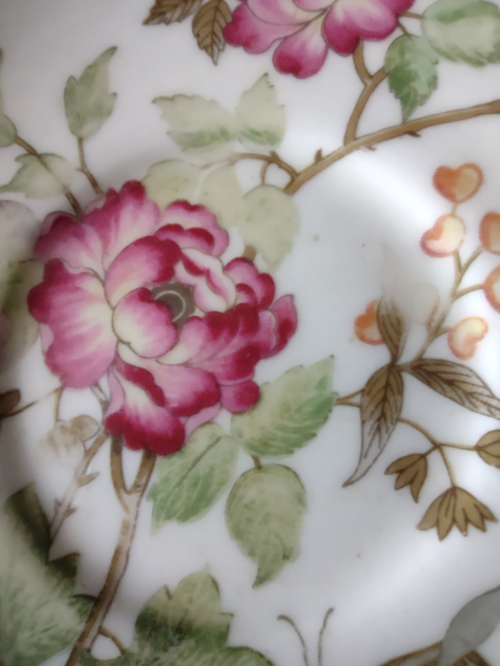 Vintage Wedgwood Charnwood Saucer Bone China England [6289]