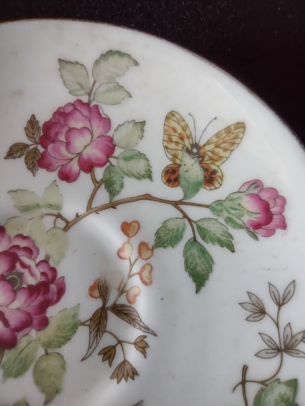 Vintage Wedgwood Charnwood Saucer Bone China England [6289]