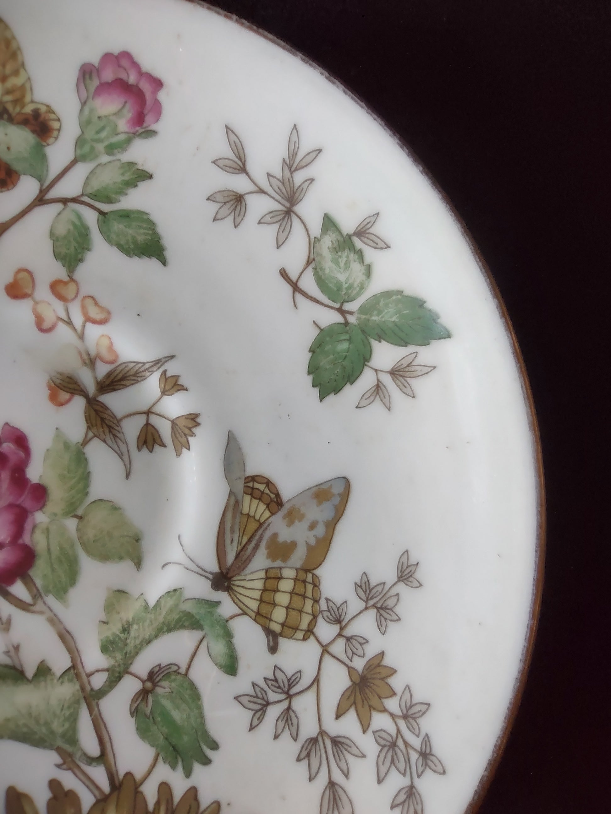 Vintage Wedgwood Charnwood Saucer Bone China England [6289]