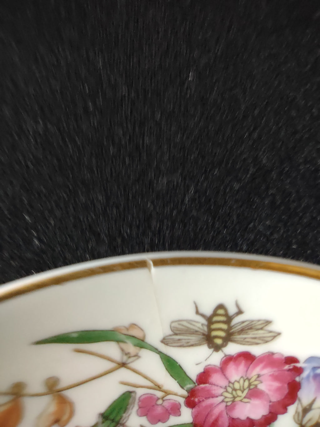 Vintage Wedgwood Floral Butterfly Saucer Bone China England [6298]