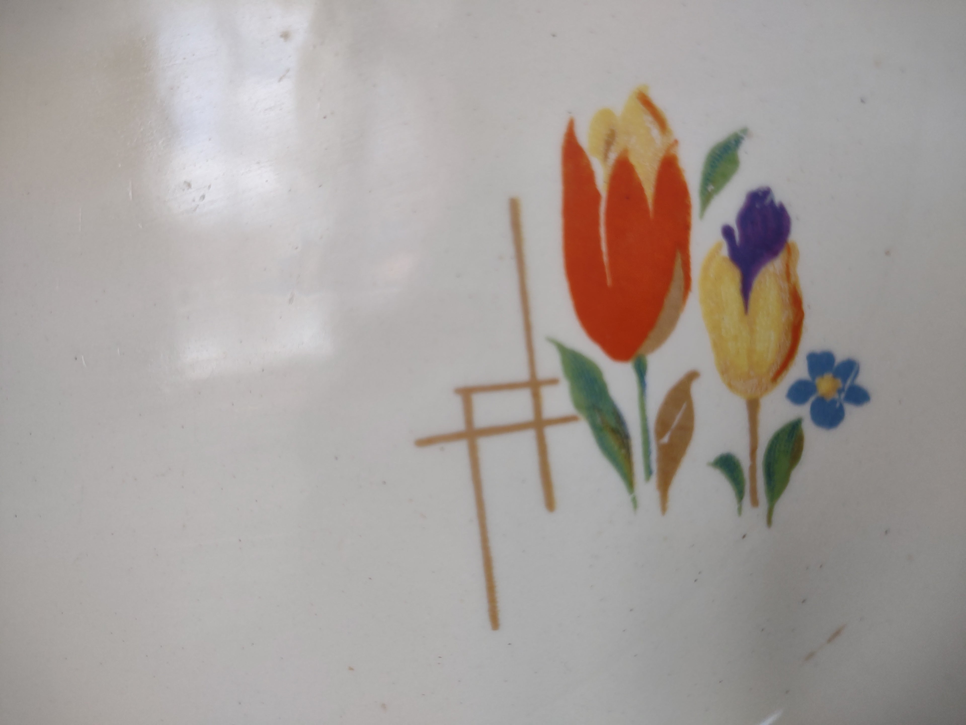 Vintage Taylor Smith Taylor Tulip Pattern Dinner Plate 9" Red Rim USA [6353]