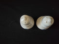 Vintage Pfaltzgraff Blue Rose Salt & Pepper Shakers White Ceramic [6316]