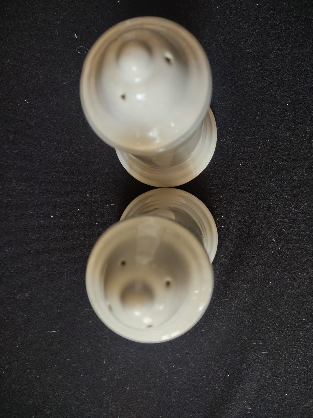 "Vintage Pfaltzgraff Wyndham Salt Pepper Shaker Ceramic Cottagecore [6321]