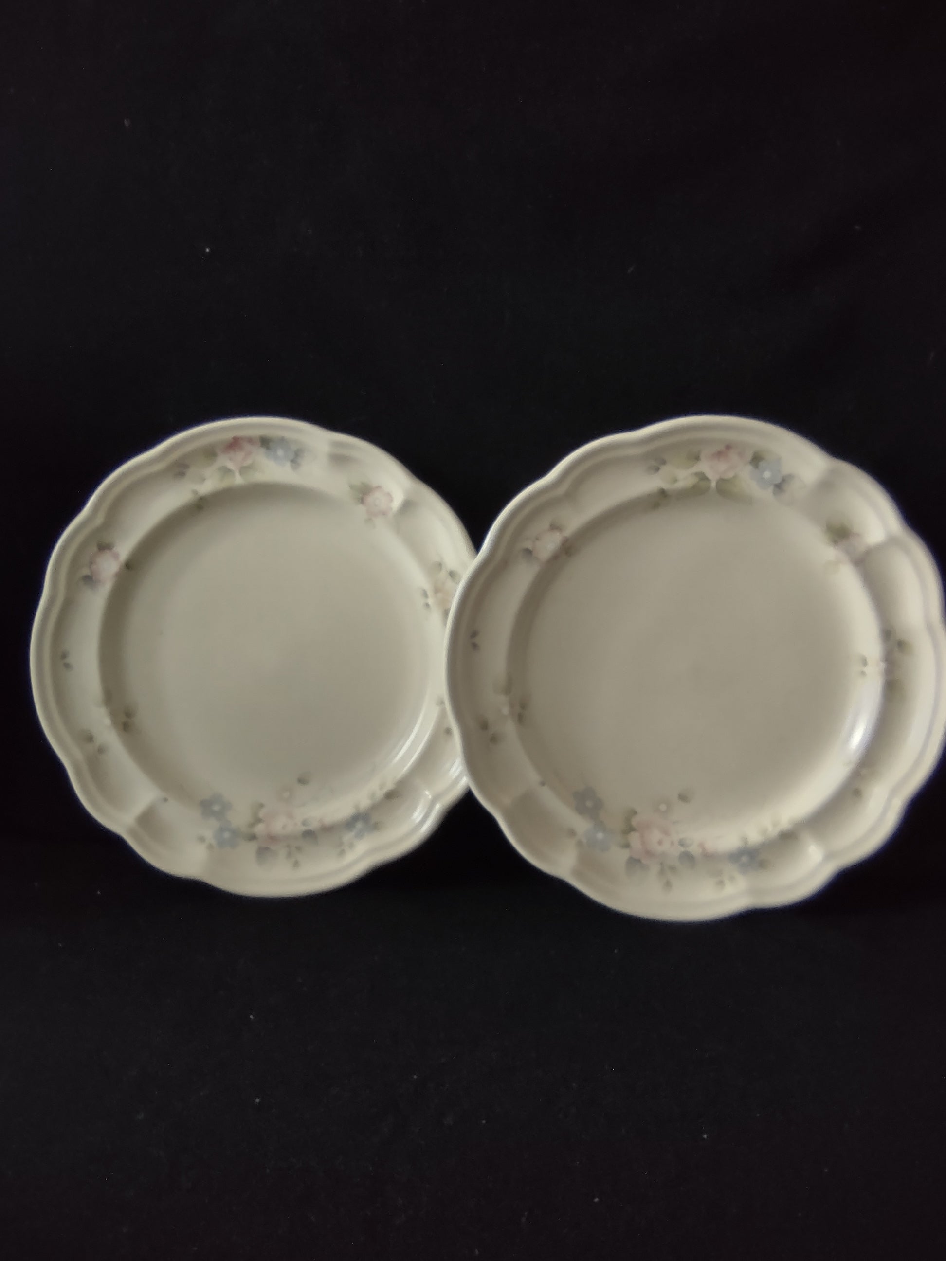 Vintage Pfaltzgraff Tea Rose Dinner Plates Set of 2 Pink Blue Floral Cream [6398]