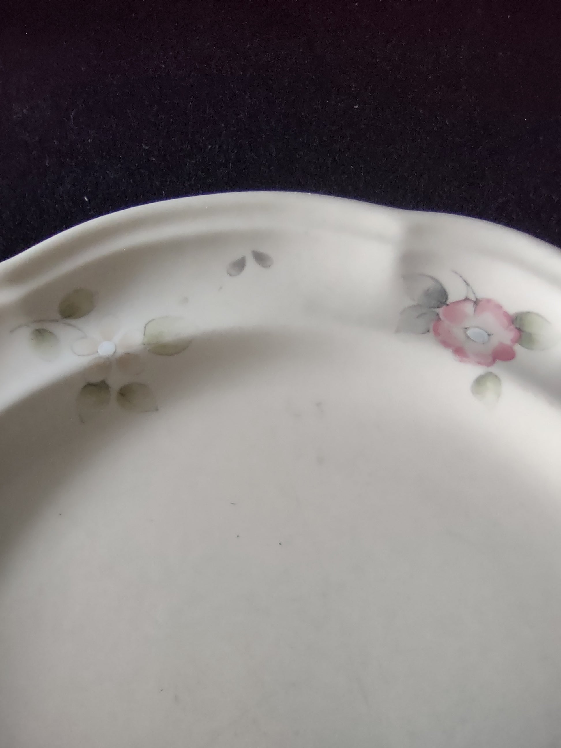 Vintage Pfaltzgraff Tea Rose Dinner Plates Set of 2 Pink Blue Floral Cream [6398]