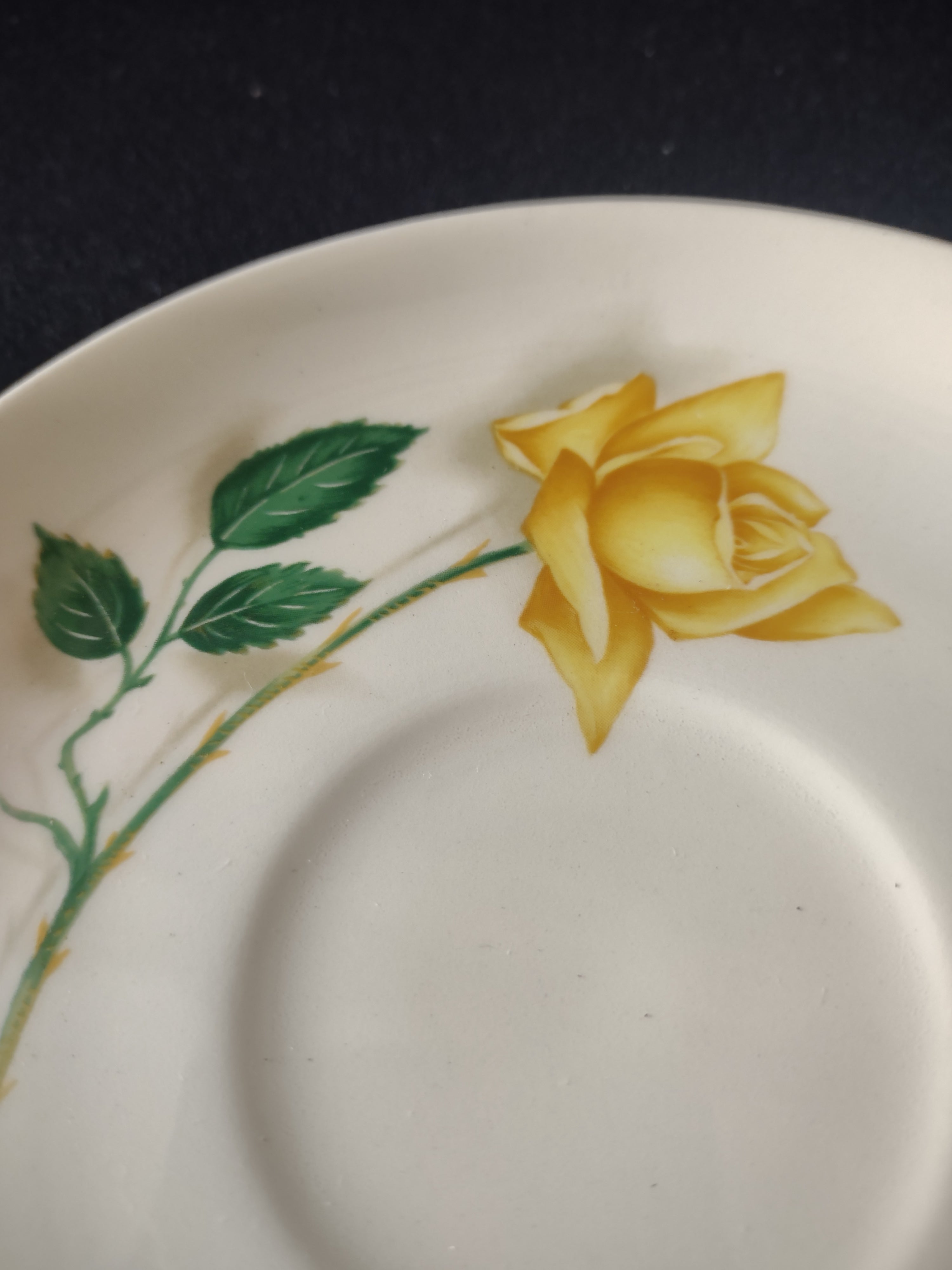 Vintage Yellow Rose Tea Cup Pair Yellow & Green [6442]